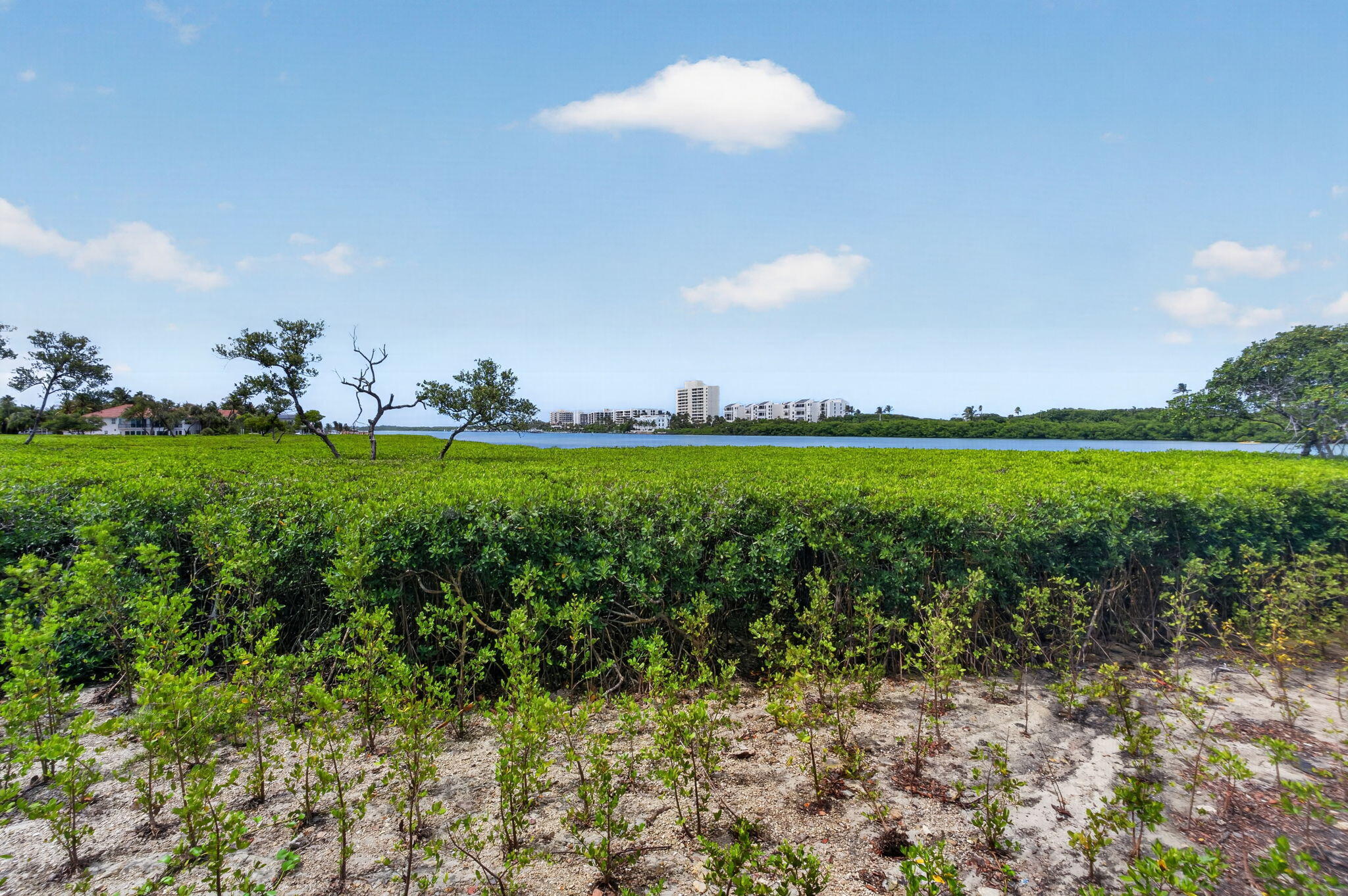 200 Waterway #104, Tequesta FL 33469