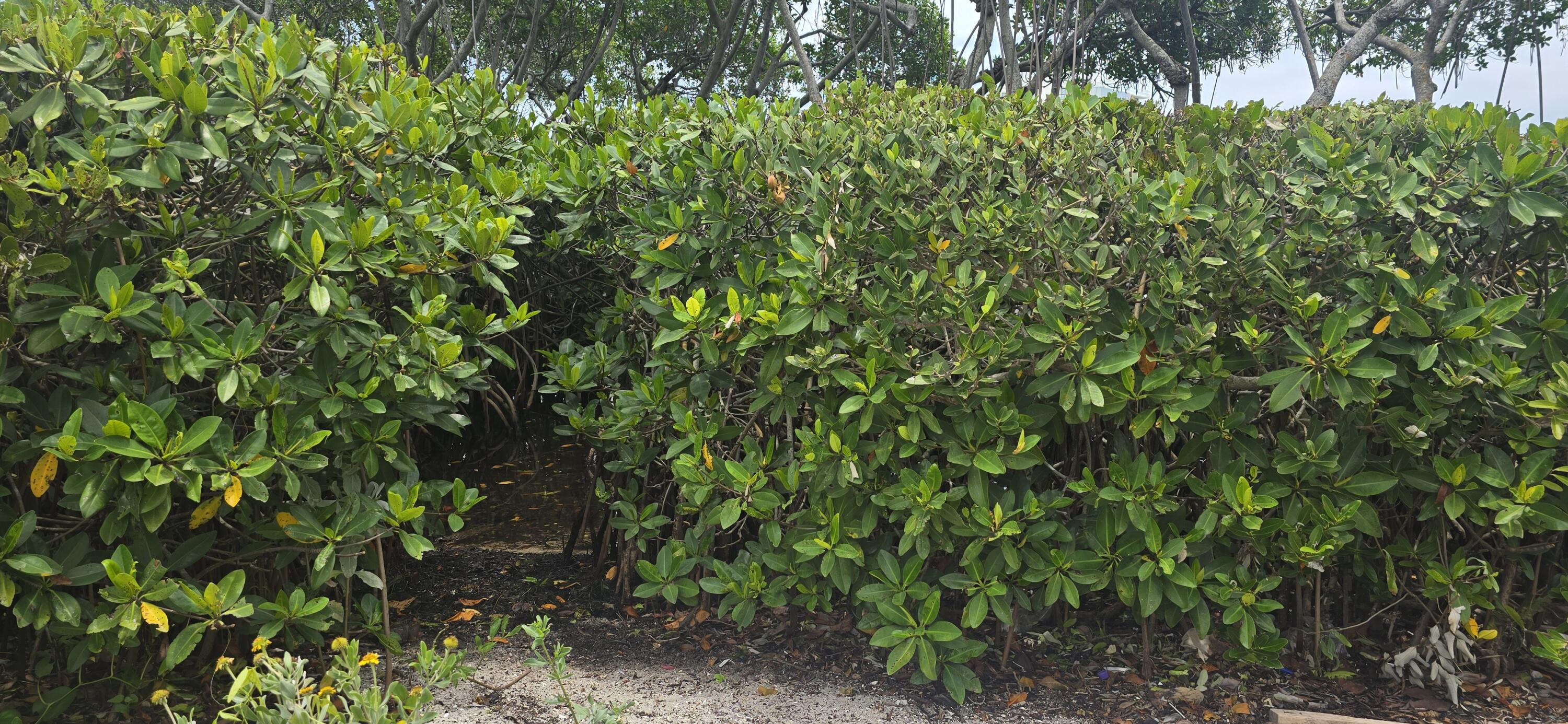 200 Waterway #104, Tequesta FL 33469