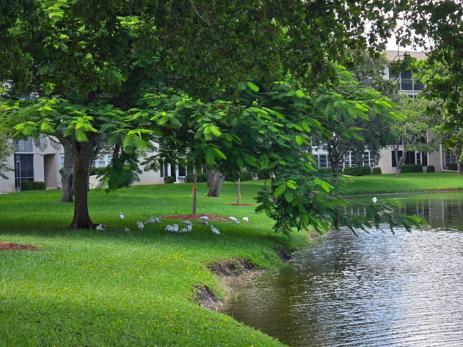 2002 Granada #K3, Coconut Creek FL 33066