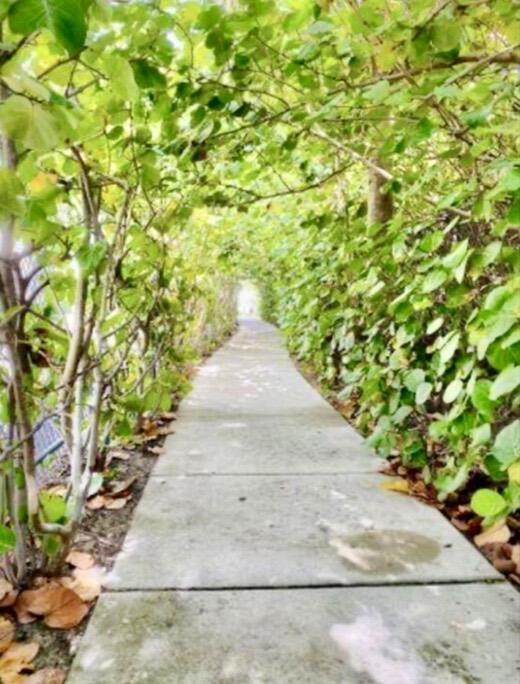 33 S OCEAN #501, Palm Beach Shores FL 33404