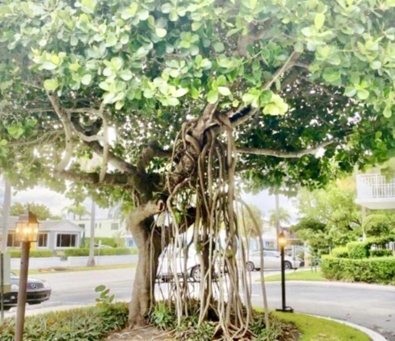 33 S OCEAN #501, Palm Beach Shores FL 33404