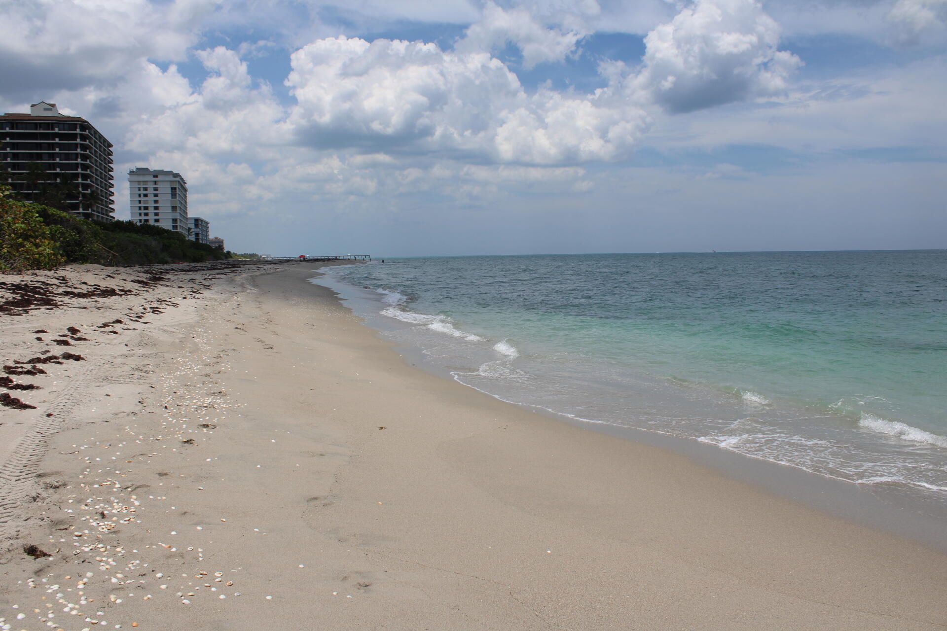 630 OCEAN #215, Juno Beach FL 33408