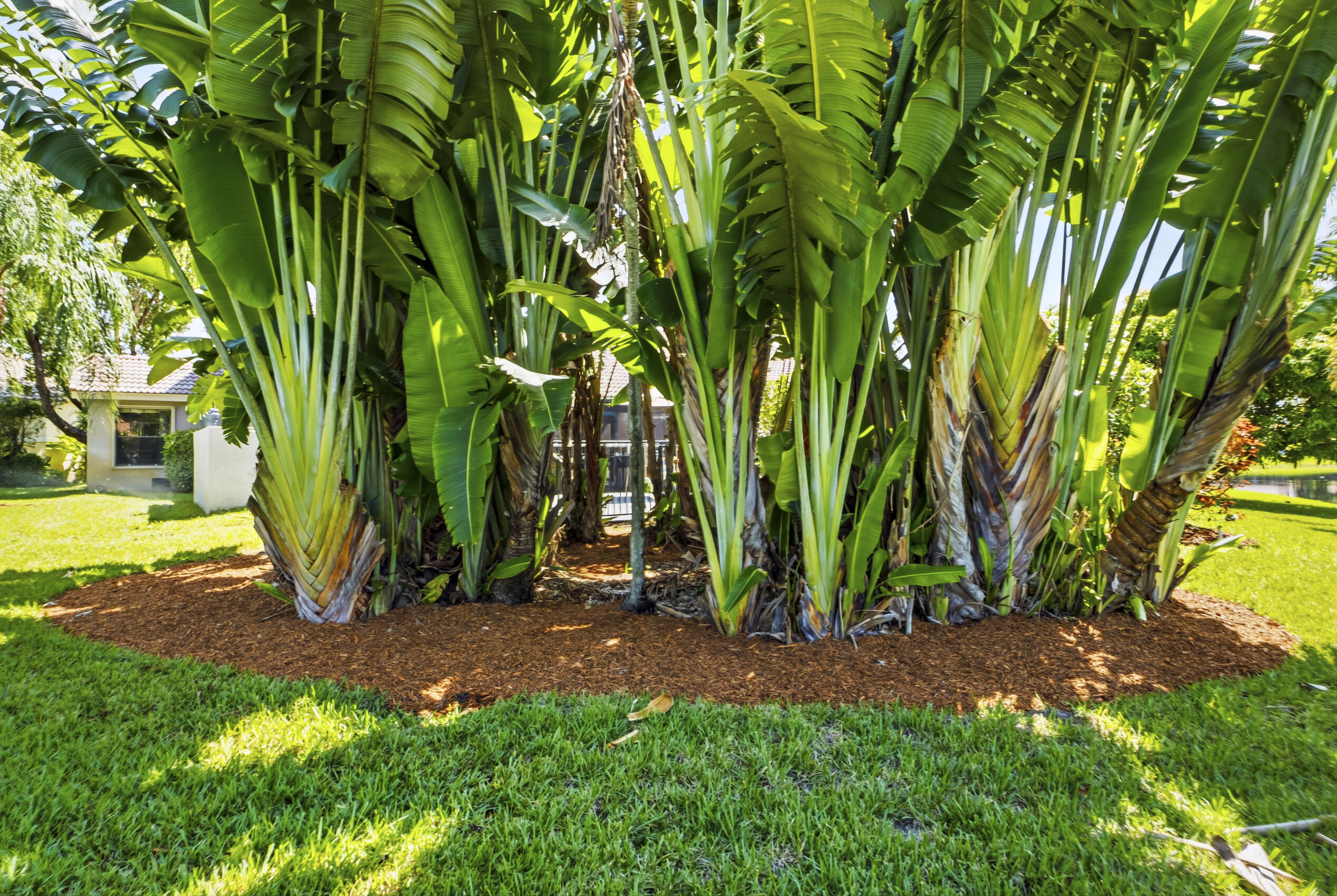 12020 NW 2nd, Coral Springs FL 33071