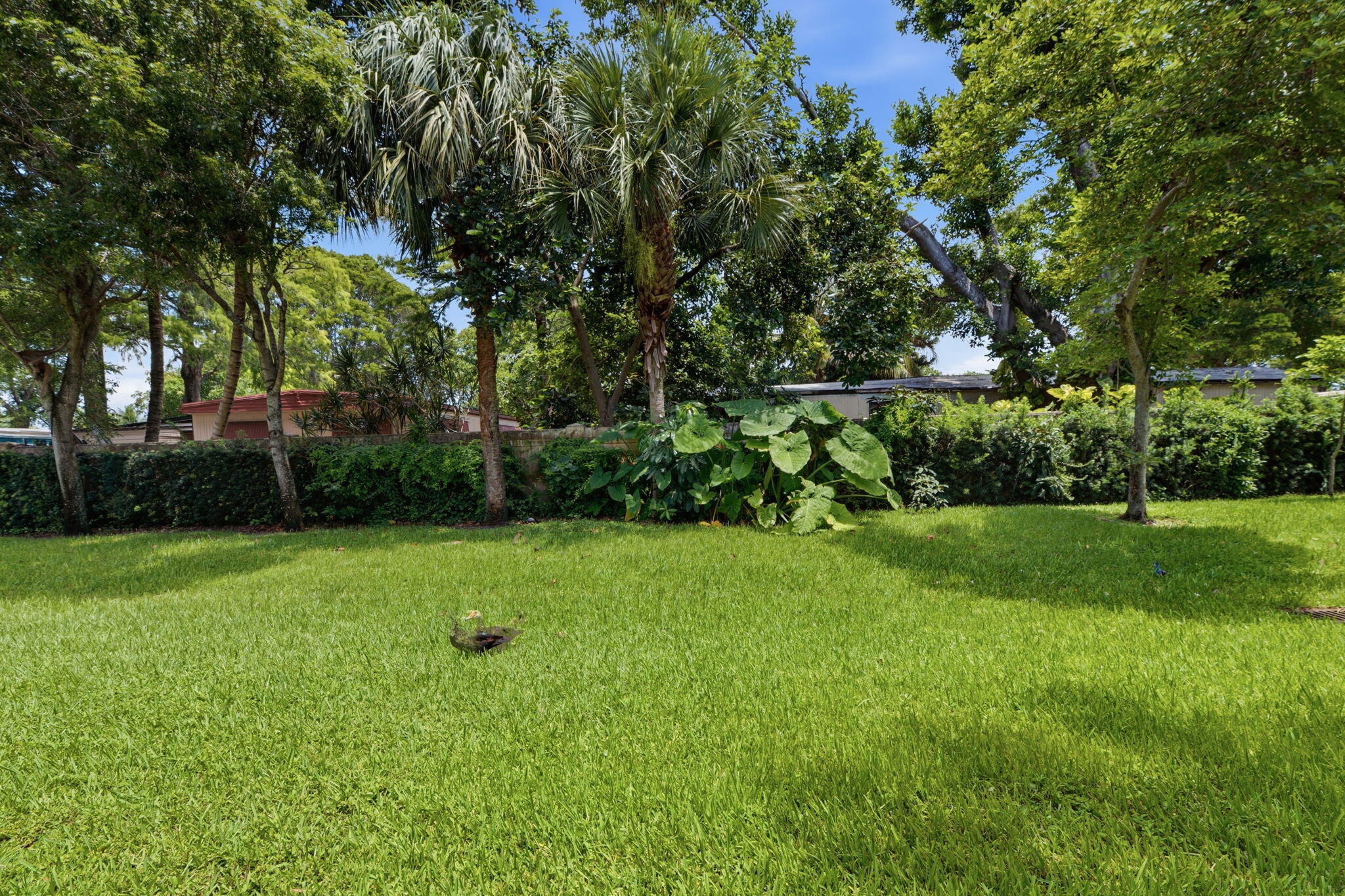 3209 NW 33rd, Oakland Park FL 33309