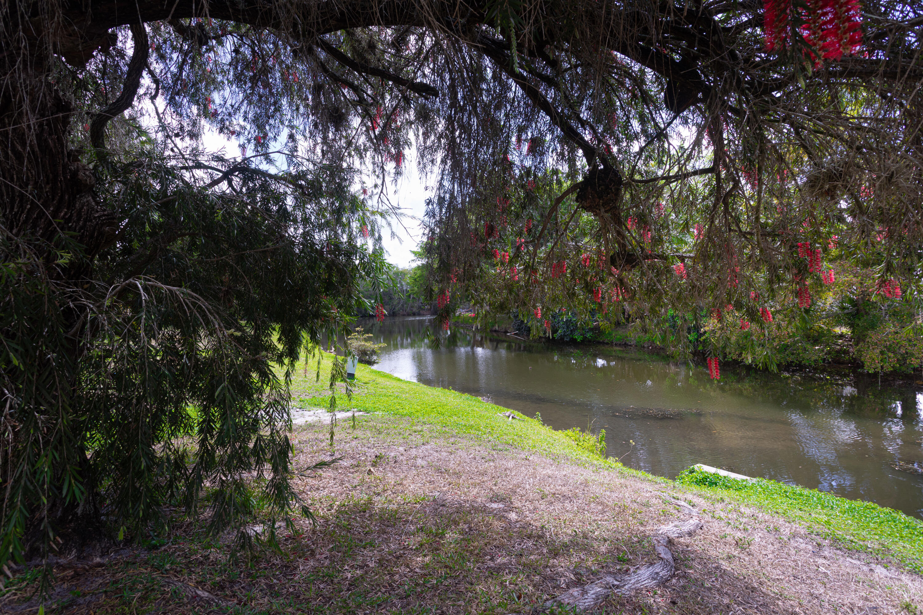 202 Sparrow #1, Royal Palm Beach FL 33411