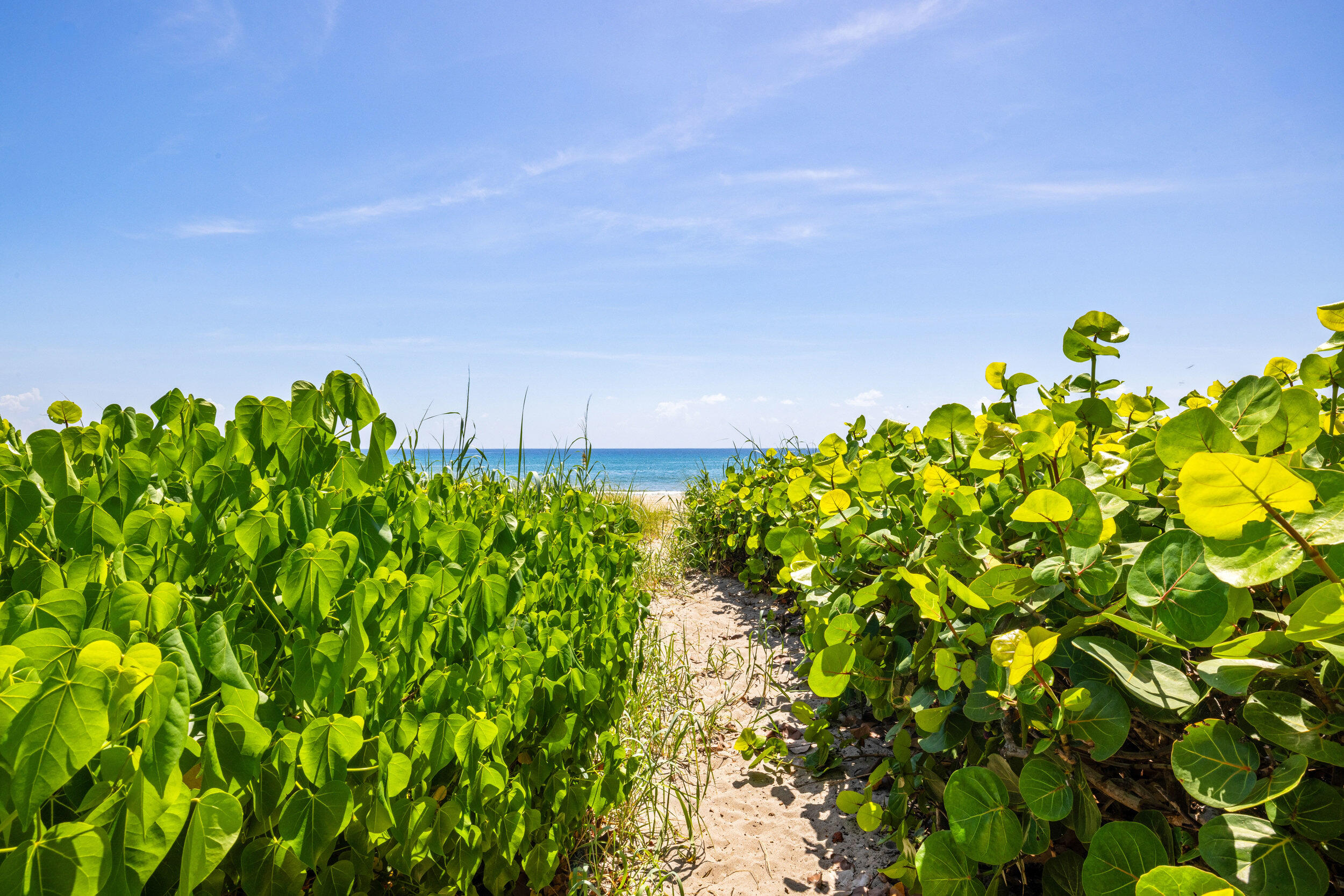 2565 S Ocean #103-N, Highland Beach FL 33487
