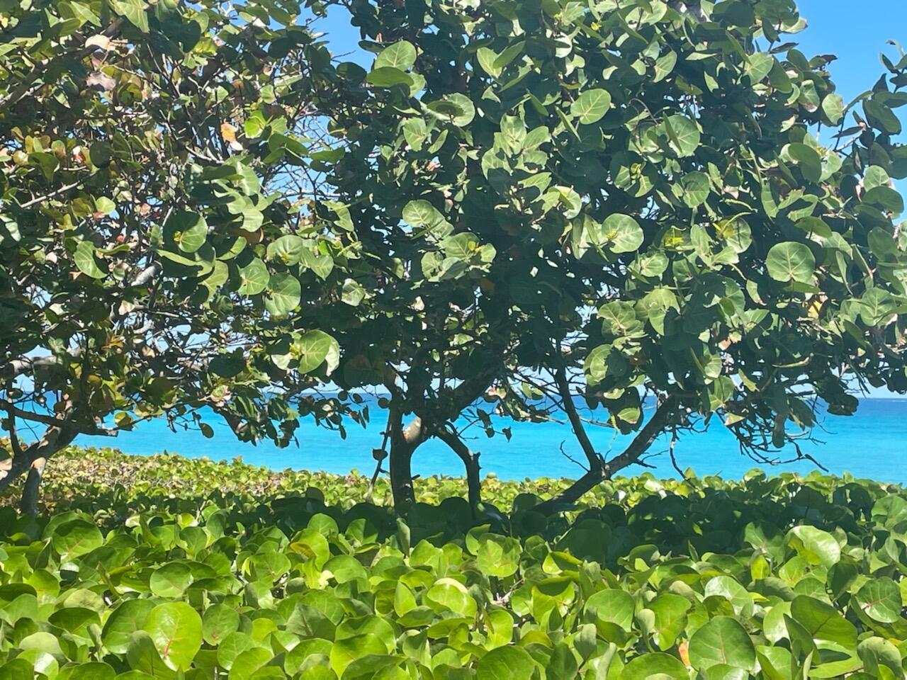 200 OCEAN TRAIL #510, Jupiter FL 33477