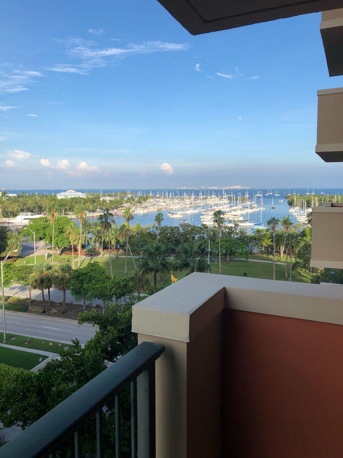 2951 S Bayshore #805, Miami FL 33133