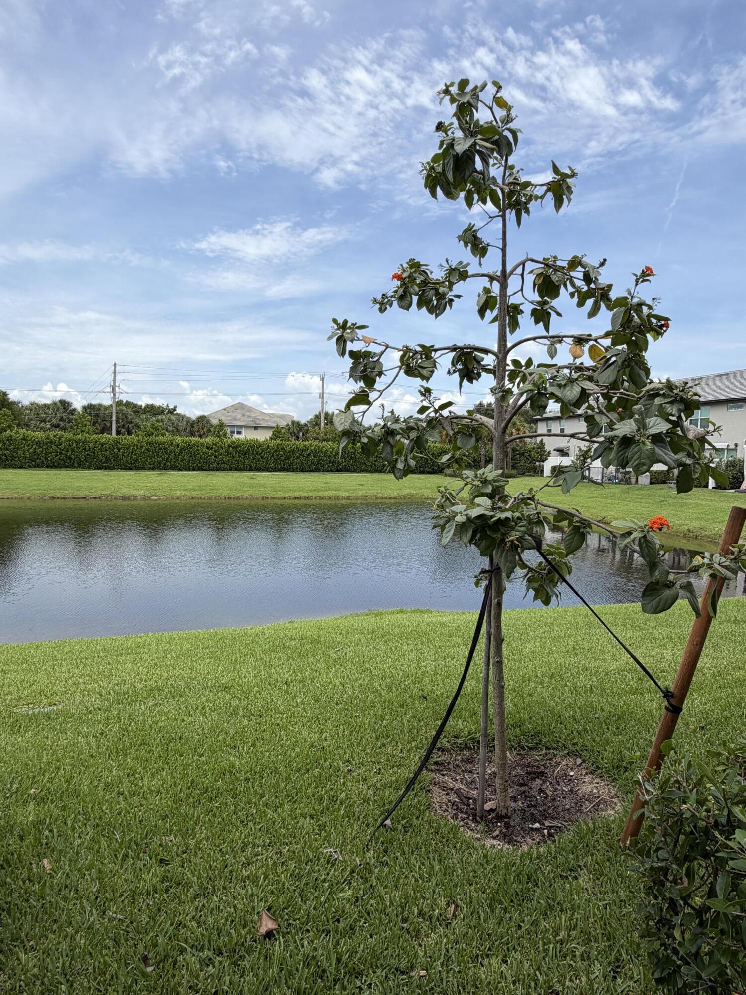 2933 OLIVIA, Lauderdale Lakes FL 33311