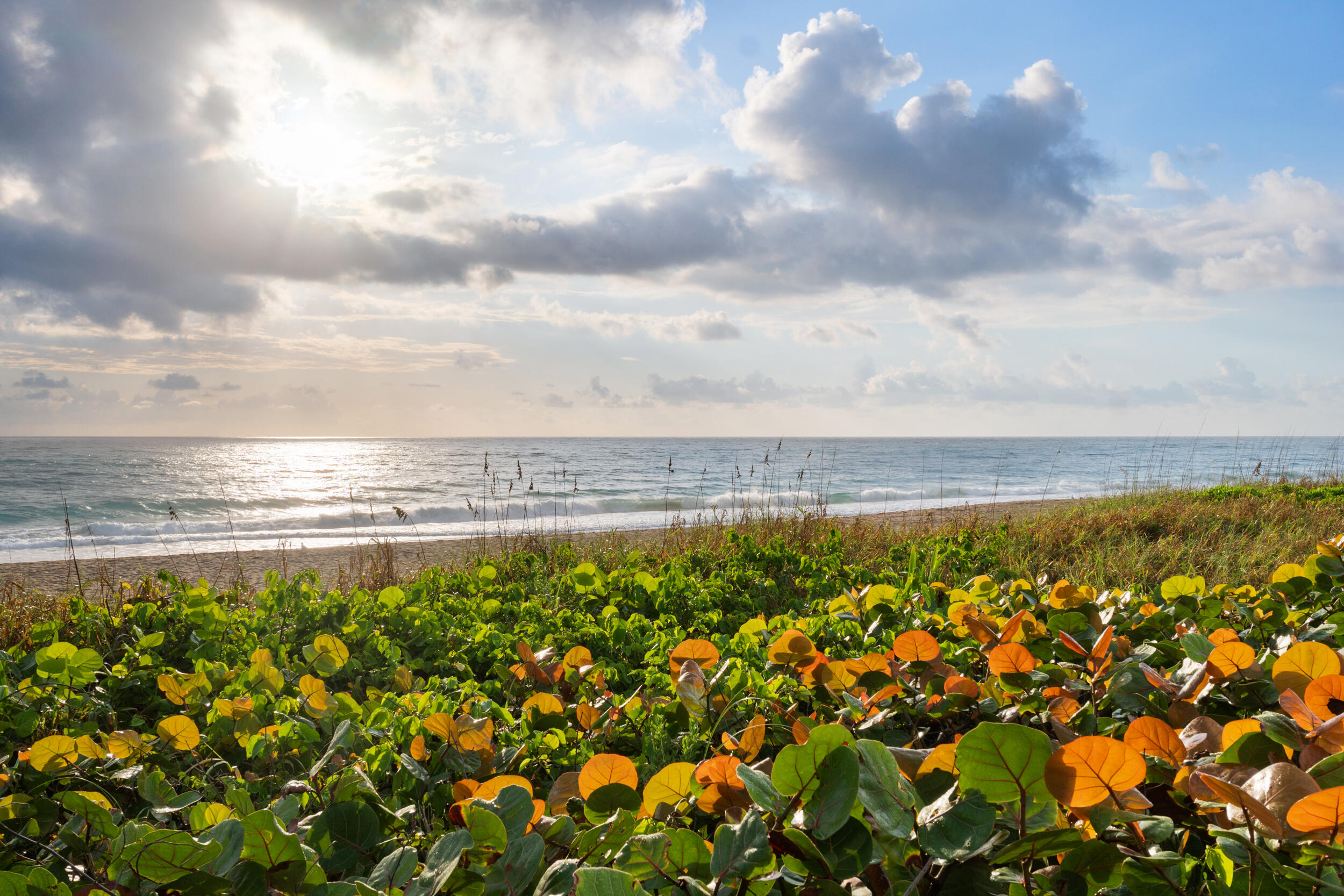 68 YACHT CLUB #20, North Palm Beach FL 33408