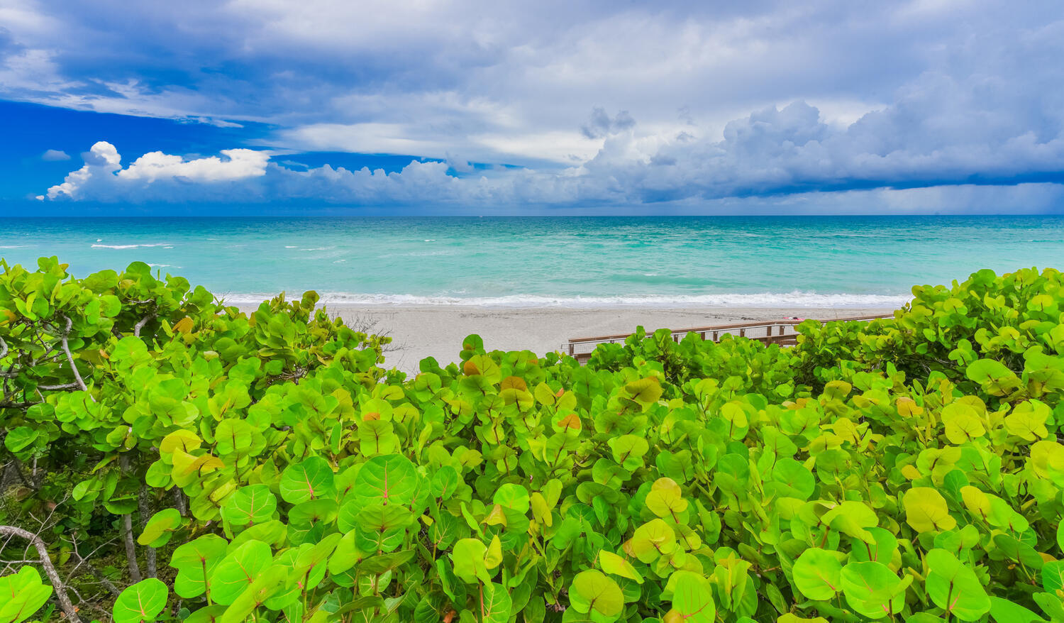 176 Helios #308, Jupiter FL 33477