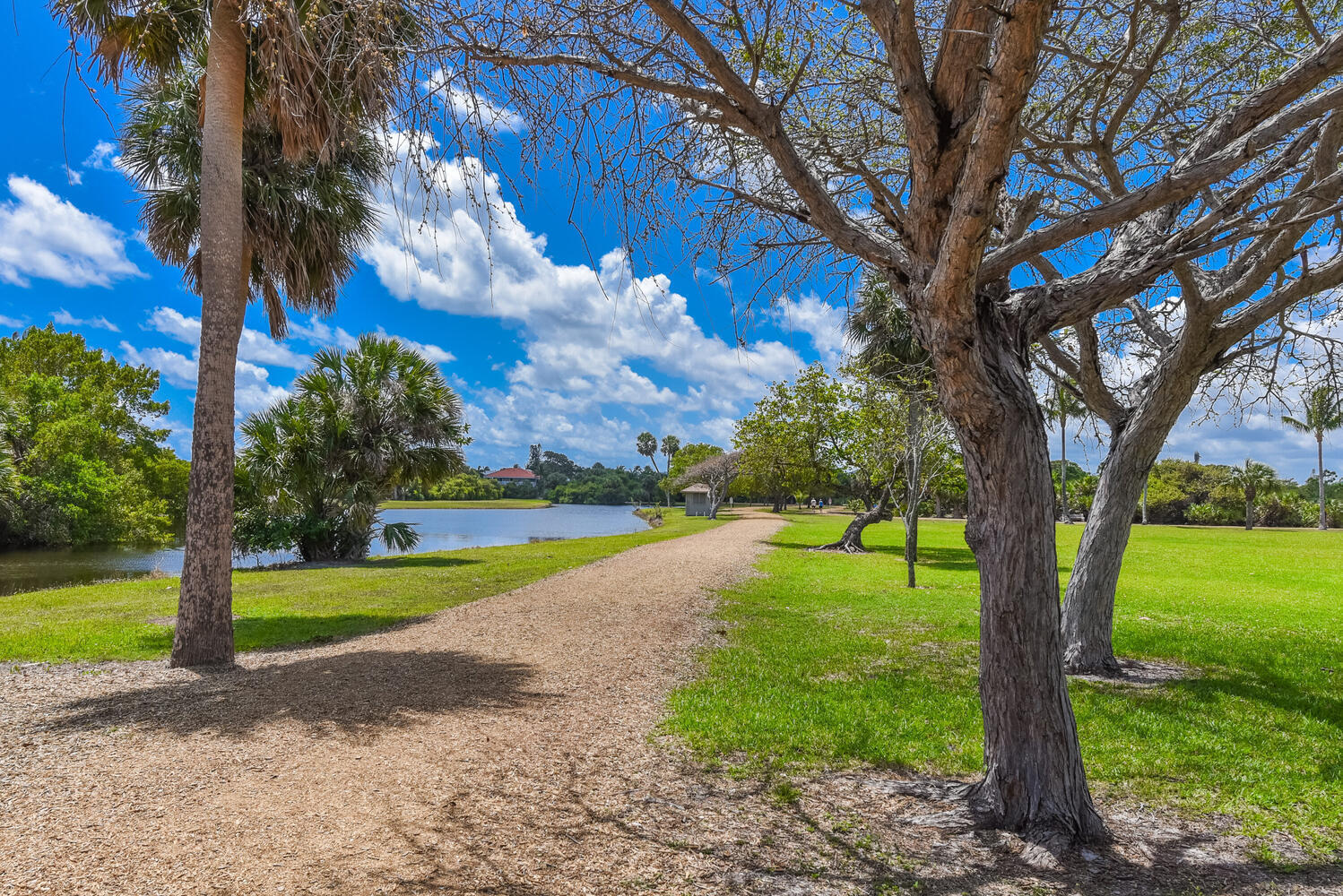 176 Helios #308, Jupiter FL 33477