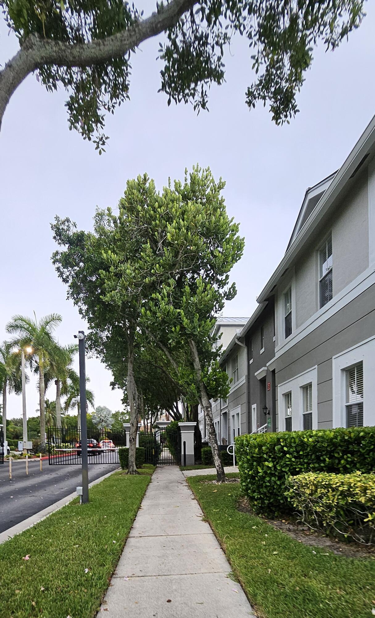 1110 E Shoma #423, Royal Palm Beach FL 33414