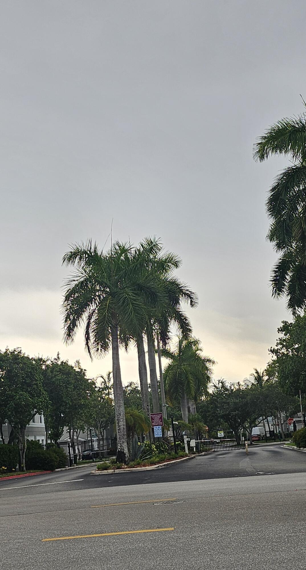 1110 E Shoma #423, Royal Palm Beach FL 33414