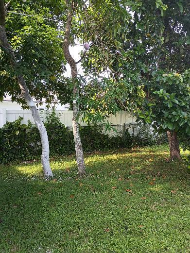 6761 NW 24TH, Margate FL 33063