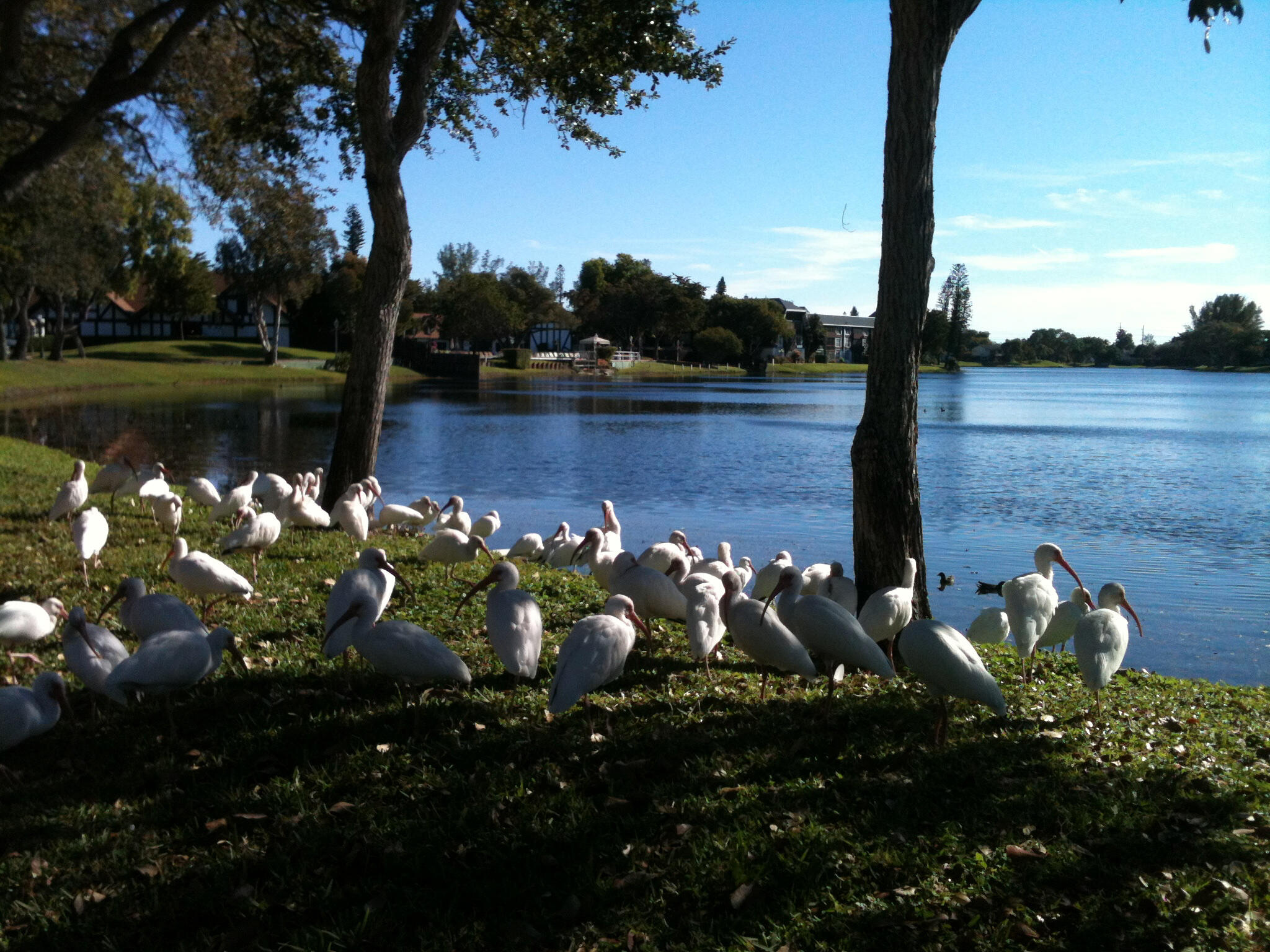 3760 INVERRARY #1T, Lauderhill FL 33319