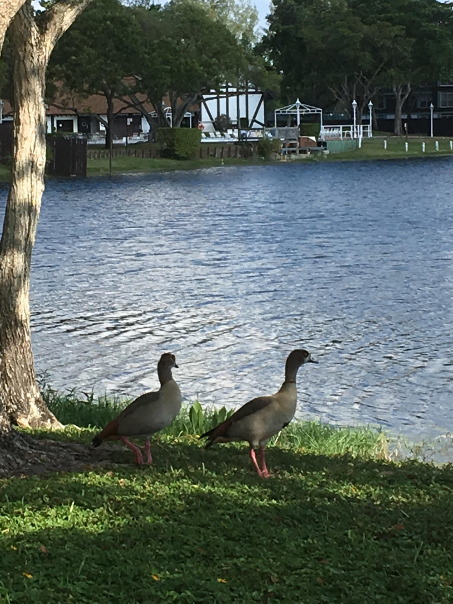 3760 INVERRARY #1T, Lauderhill FL 33319