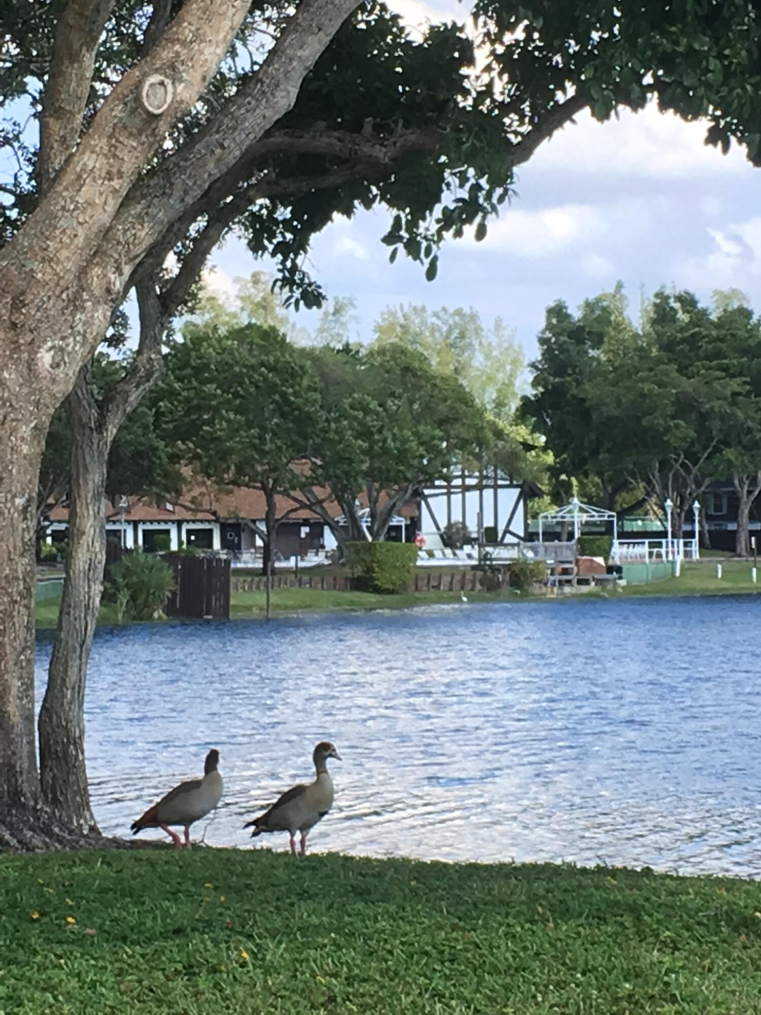 3760 INVERRARY #1T, Lauderhill FL 33319