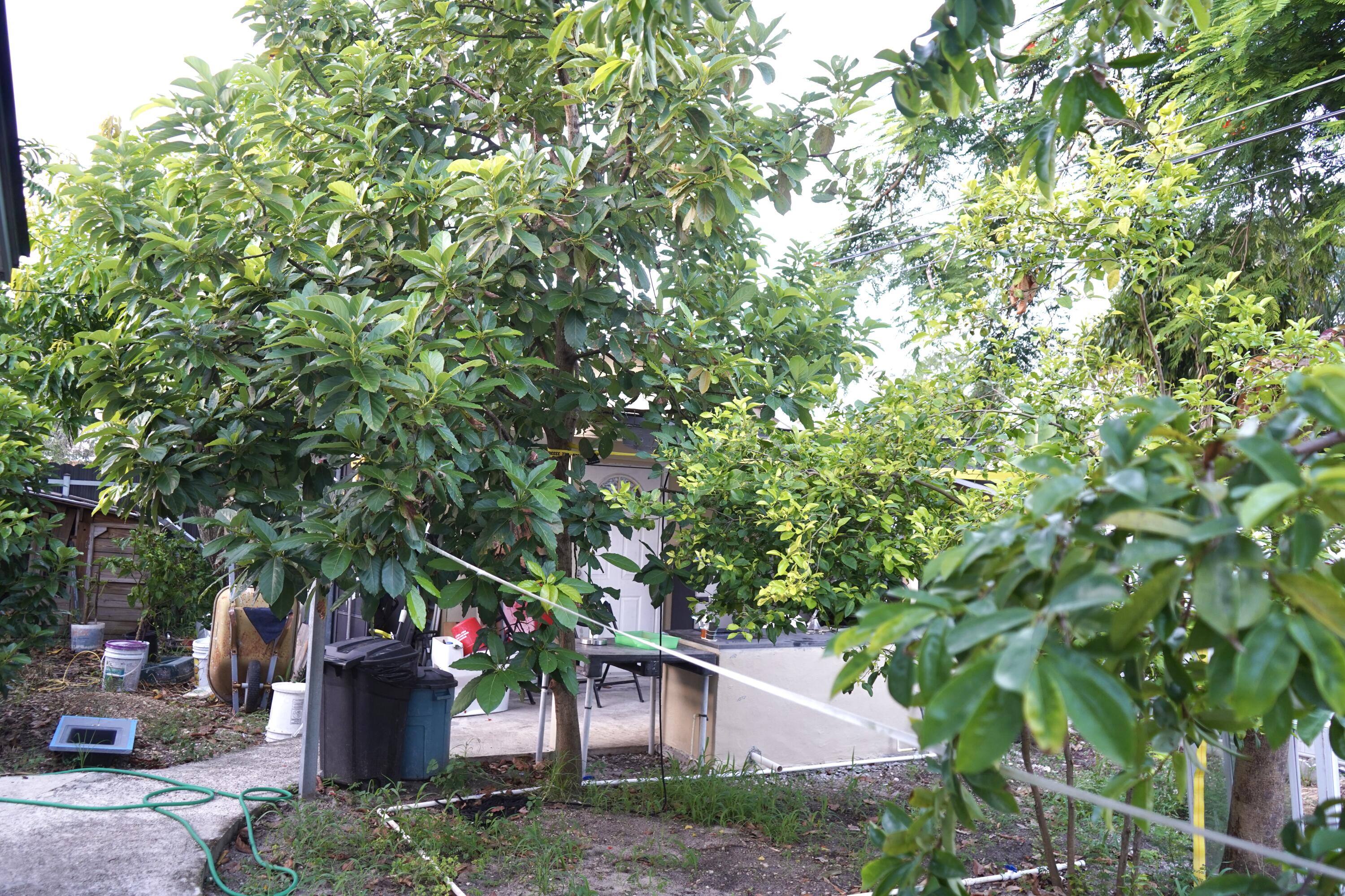 16101 SW 98th, Miami FL 33157