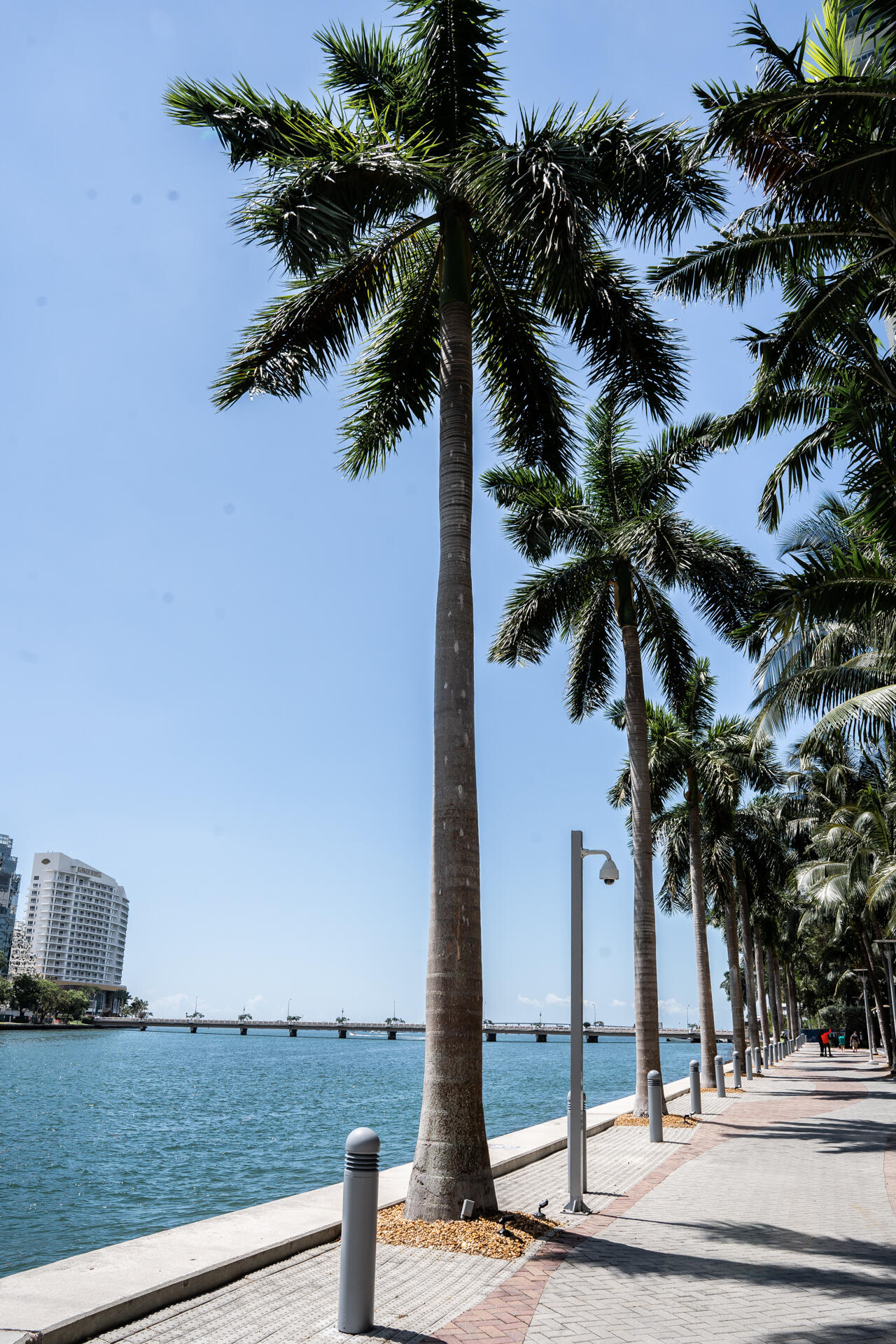 465 BRICKELL #5102, Miami FL 33131