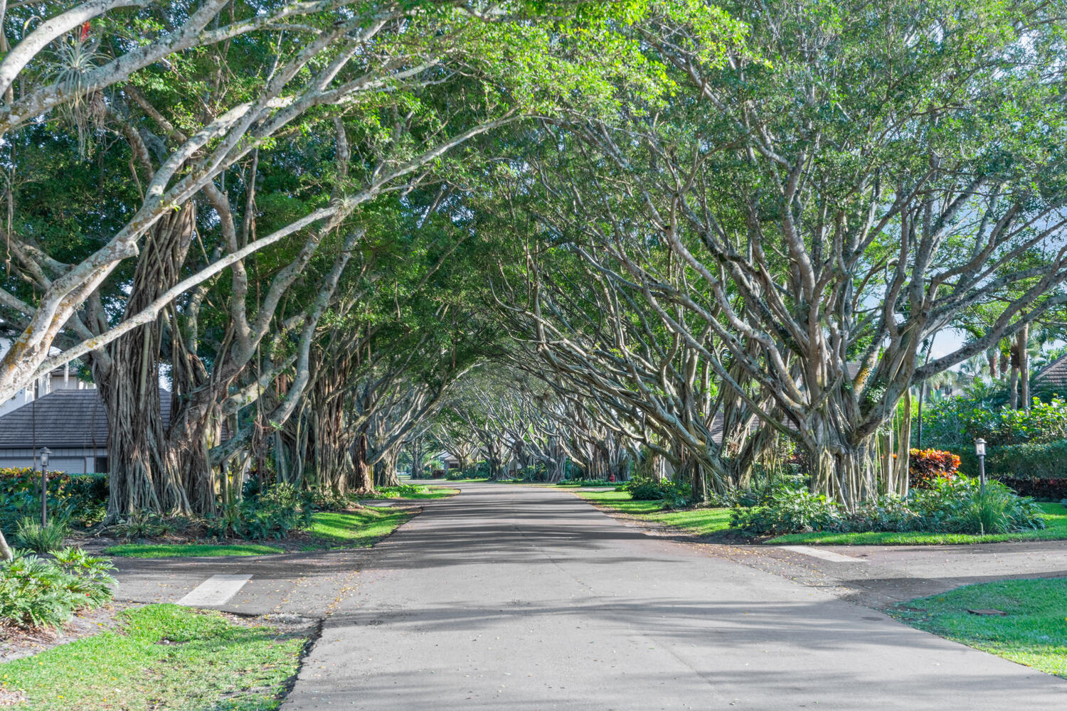 2785 Polo Island #J301 Penthouse, Wellington FL 33414