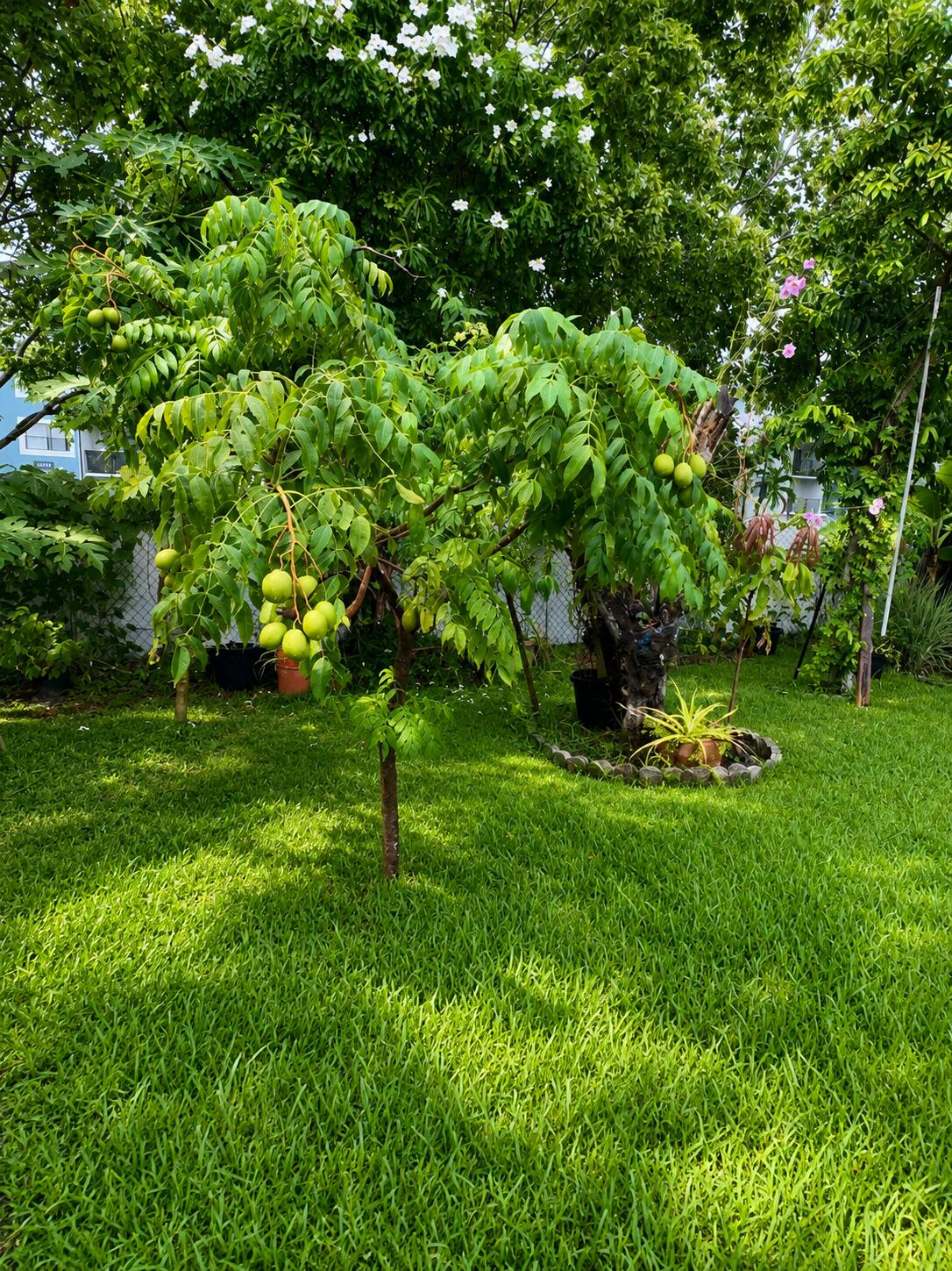1412 SW 75TH, North Lauderdale FL 33068
