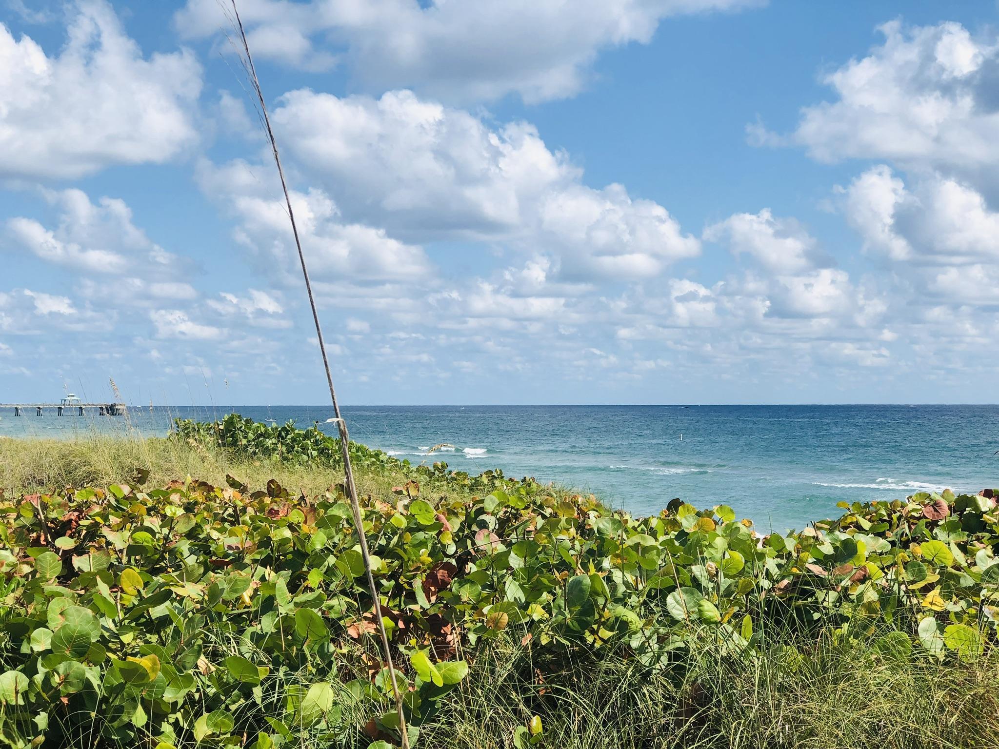 665 SE 21st #102, Deerfield Beach FL 33441