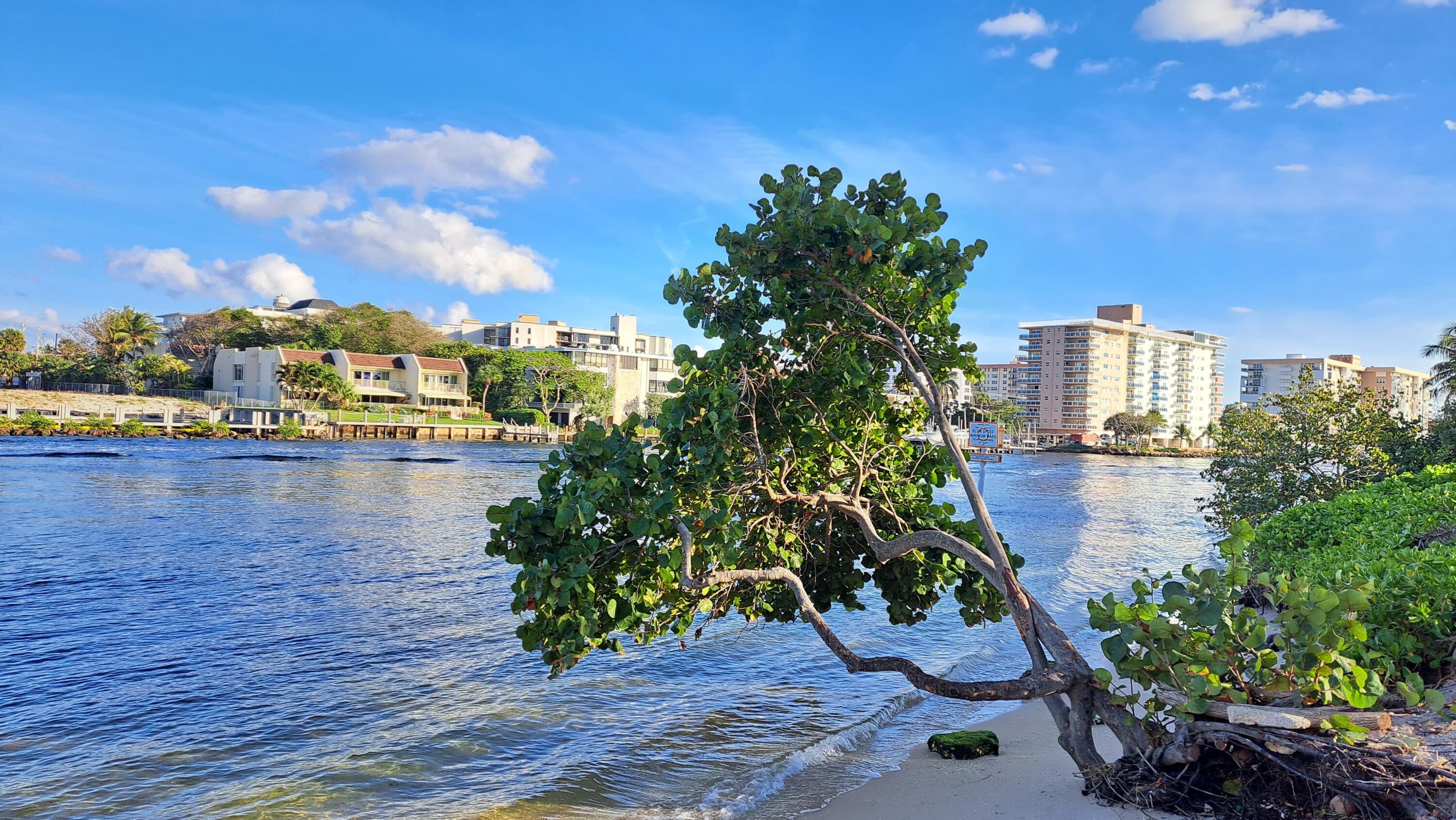 1445 SE 15TH #202, Deerfield Beach FL 33441