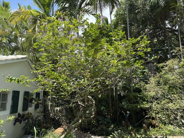 41 SW 5TH, Dania Beach FL 33004