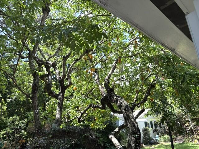41 SW 5TH, Dania Beach FL 33004