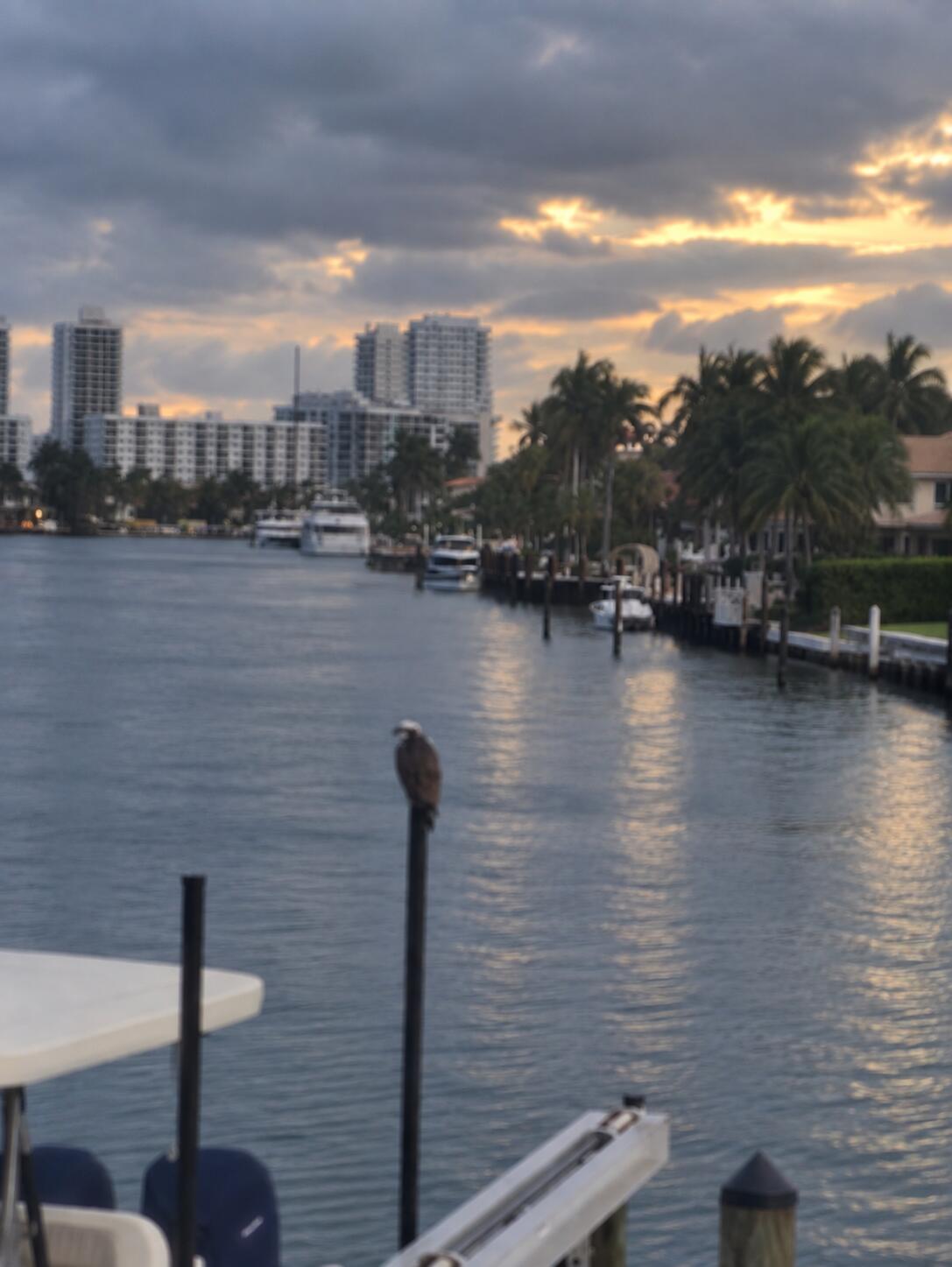 516 HENDRICKS #2C, Fort Lauderdale FL 33301