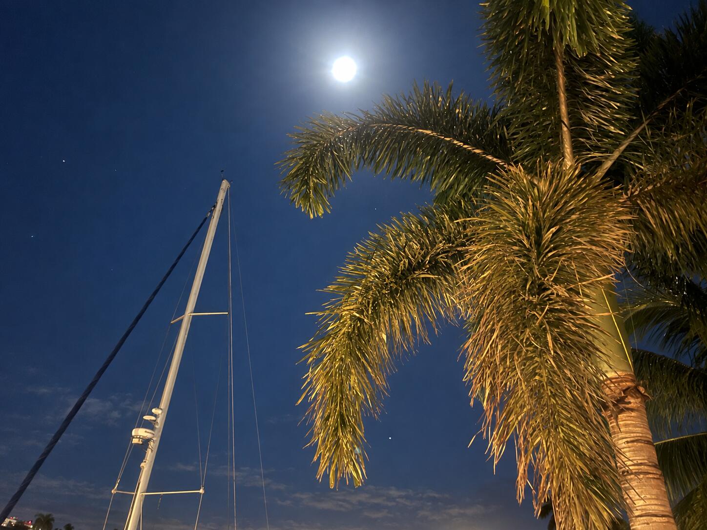 516 HENDRICKS #2C, Fort Lauderdale FL 33301