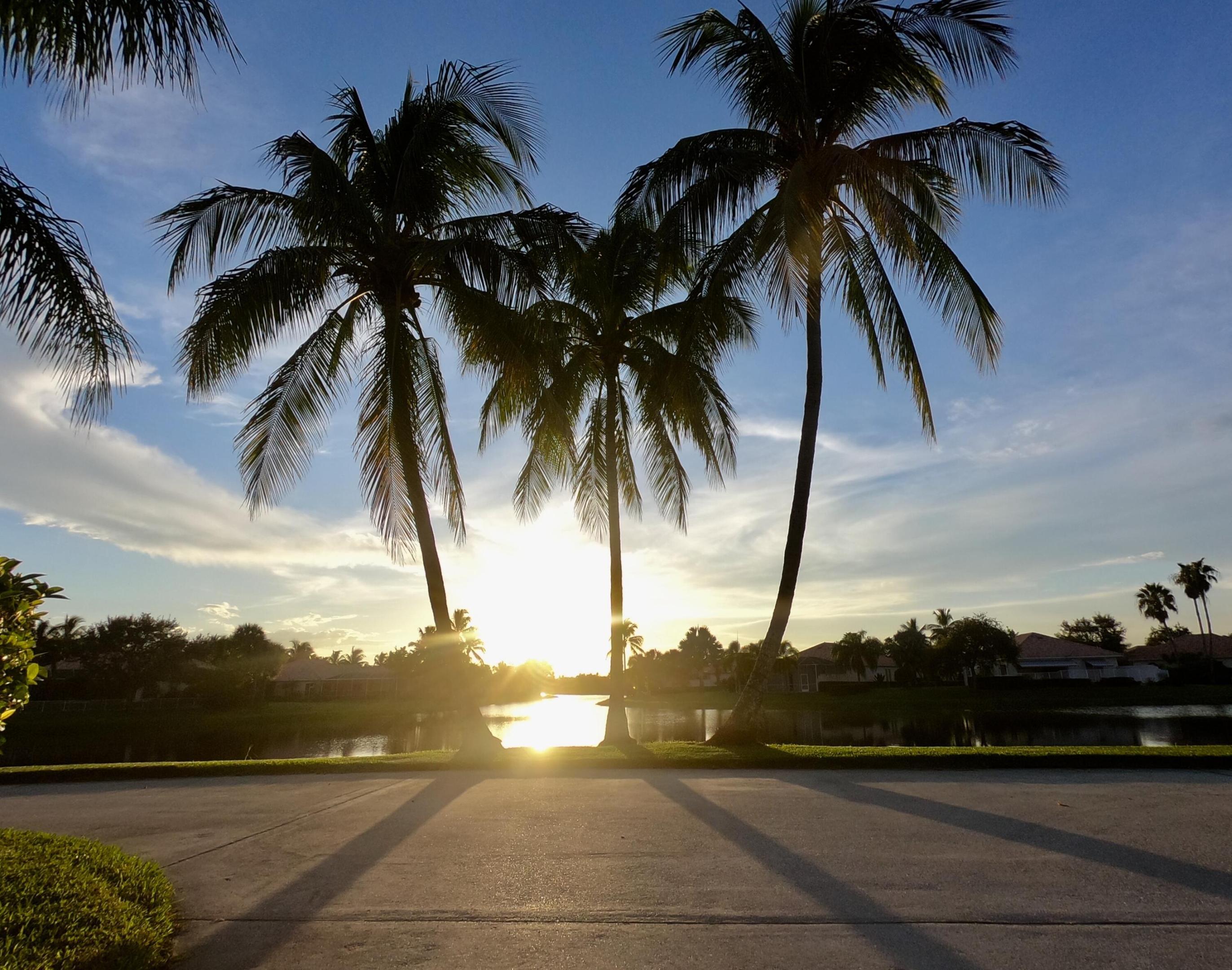 2171 Tigris, West Palm Beach FL 33411