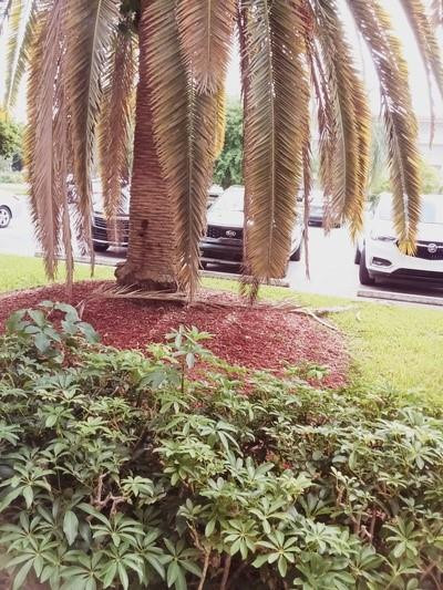 2201 Lucaya #Apt k1, Coconut Creek FL 33066