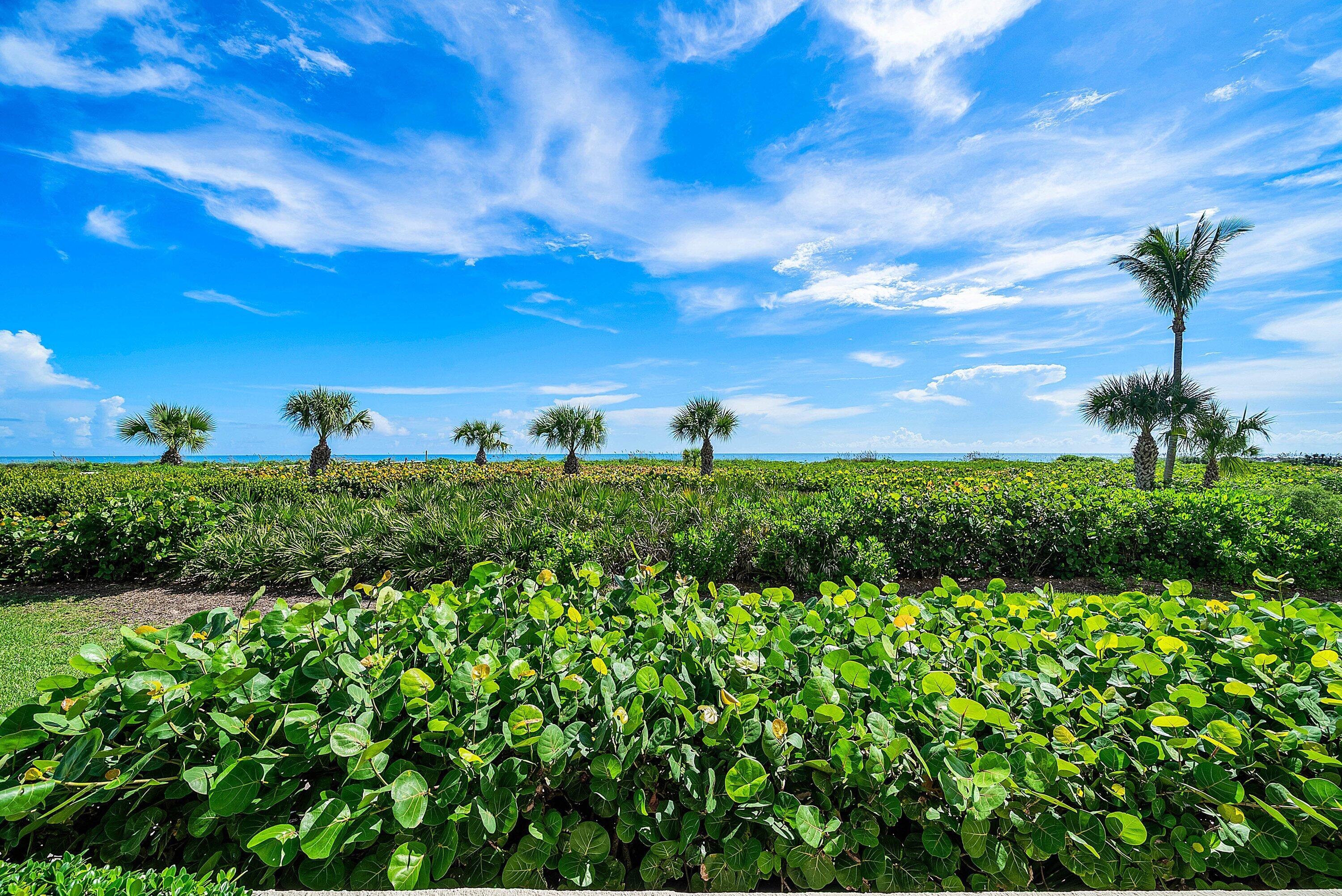 3001 SE Island Point #12, Stuart FL 34996