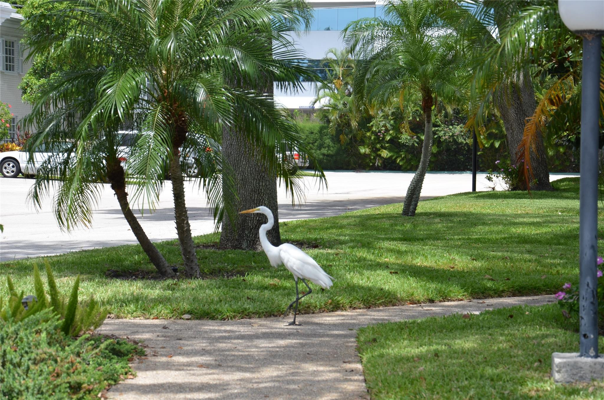 6201 Bay Club #4, Fort Lauderdale FL 33308