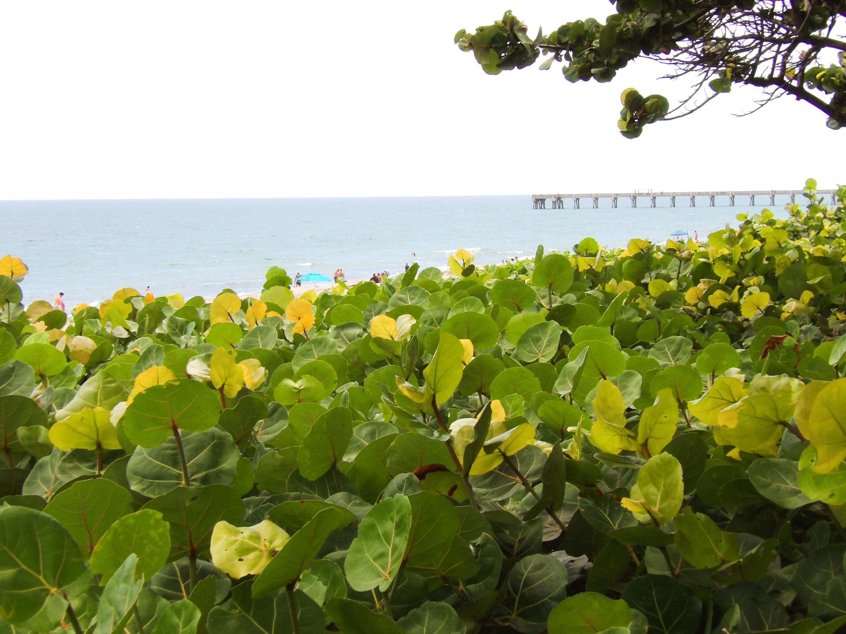 206 Mainsail, Jupiter FL 33477