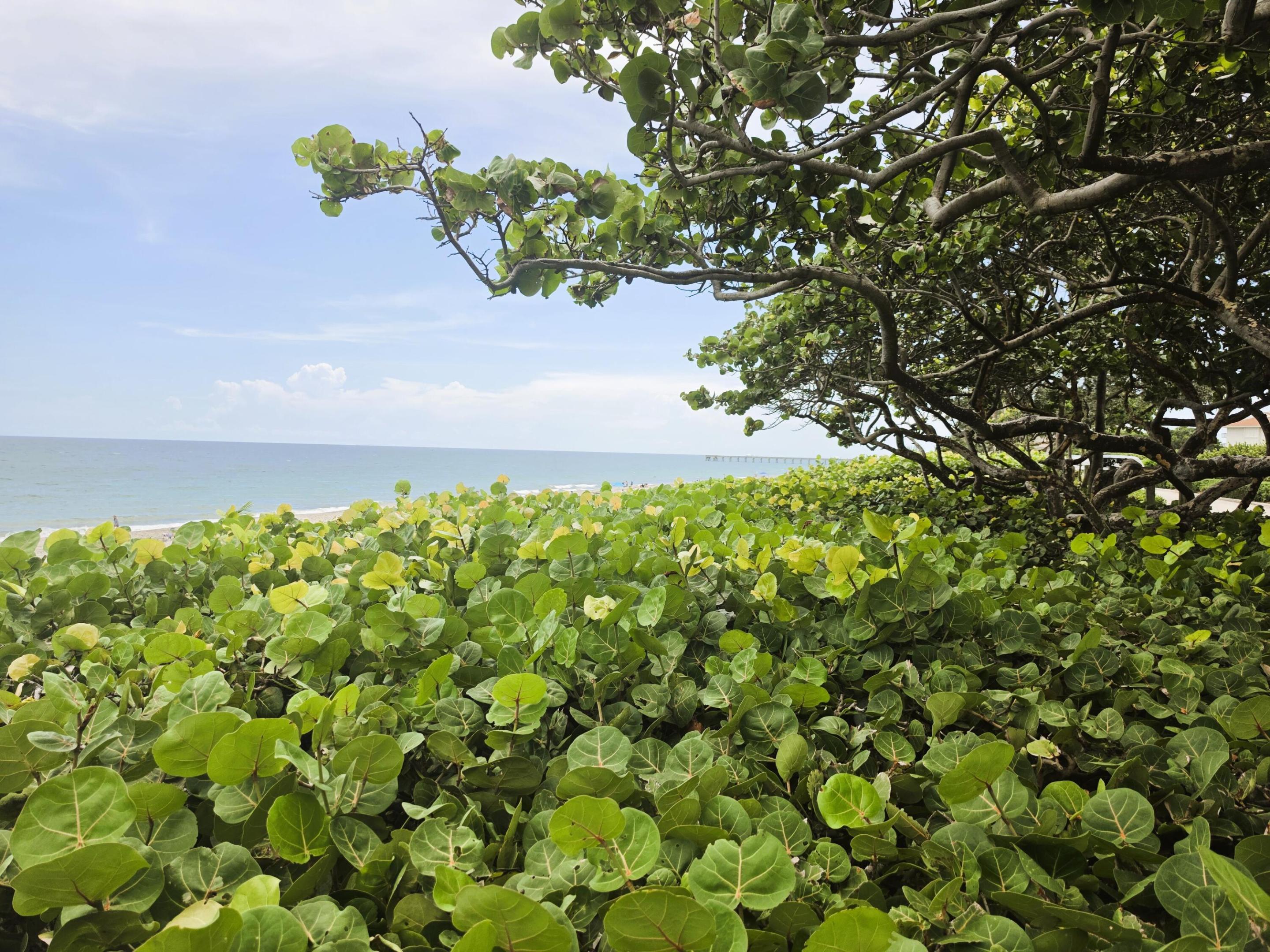 206 Mainsail, Jupiter FL 33477