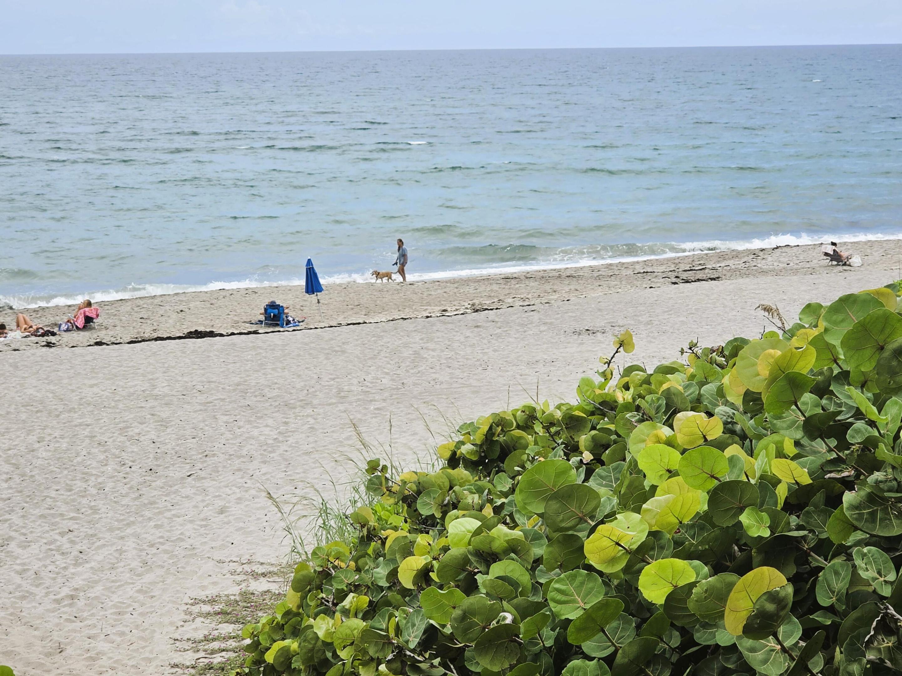 206 Mainsail, Jupiter FL 33477