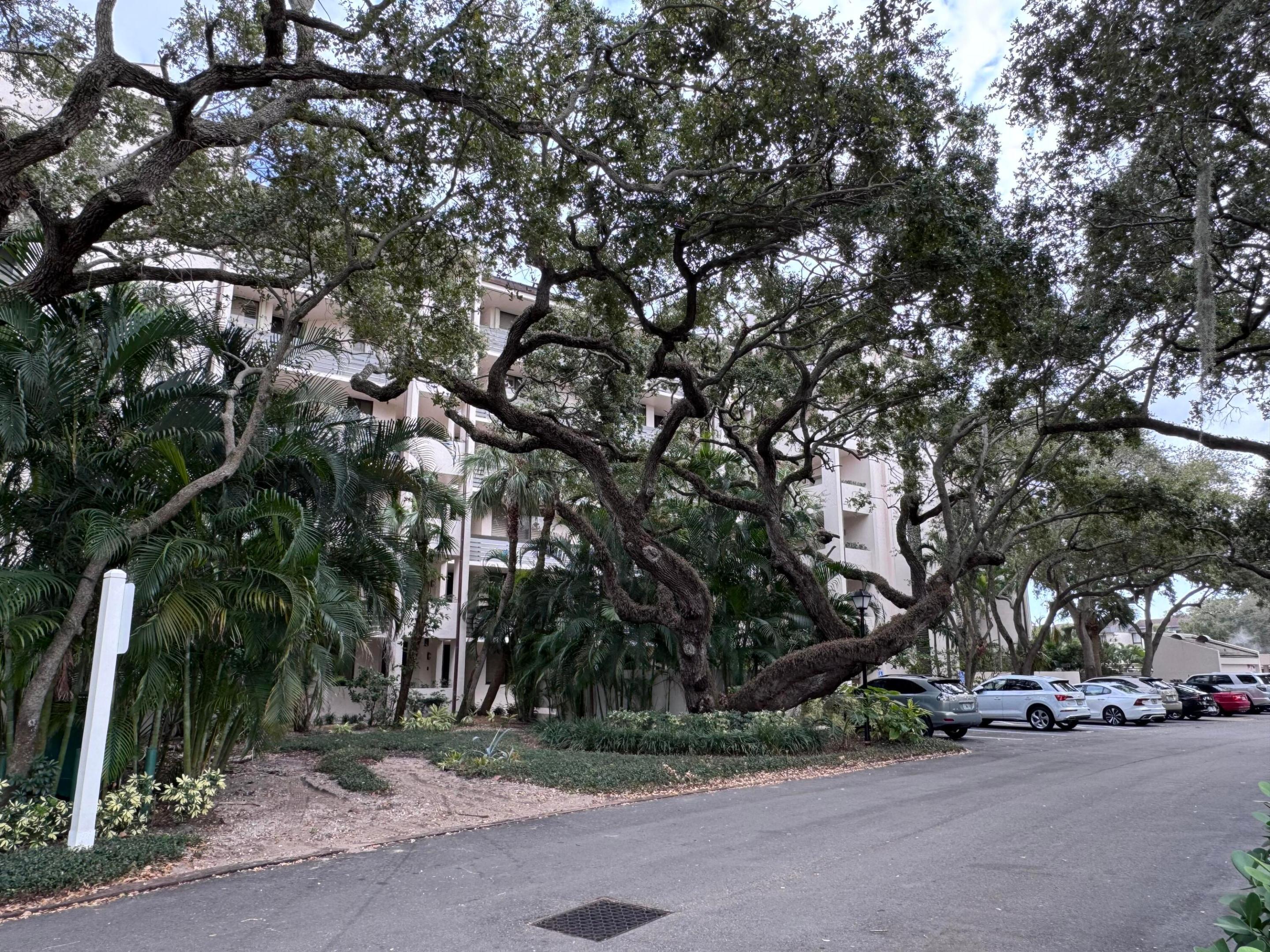 11370 Twelve Oaks #118, North Palm Beach FL 33408