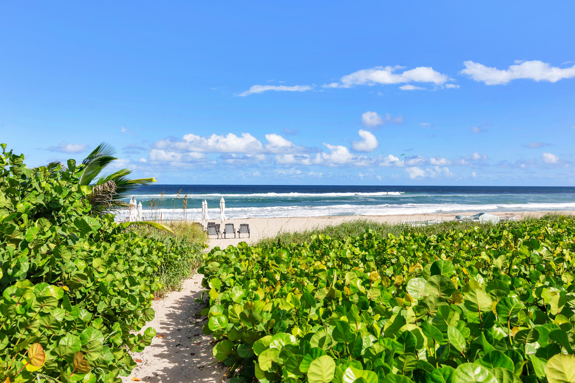 2784 S OCEAN #301E, Palm Beach FL 33480