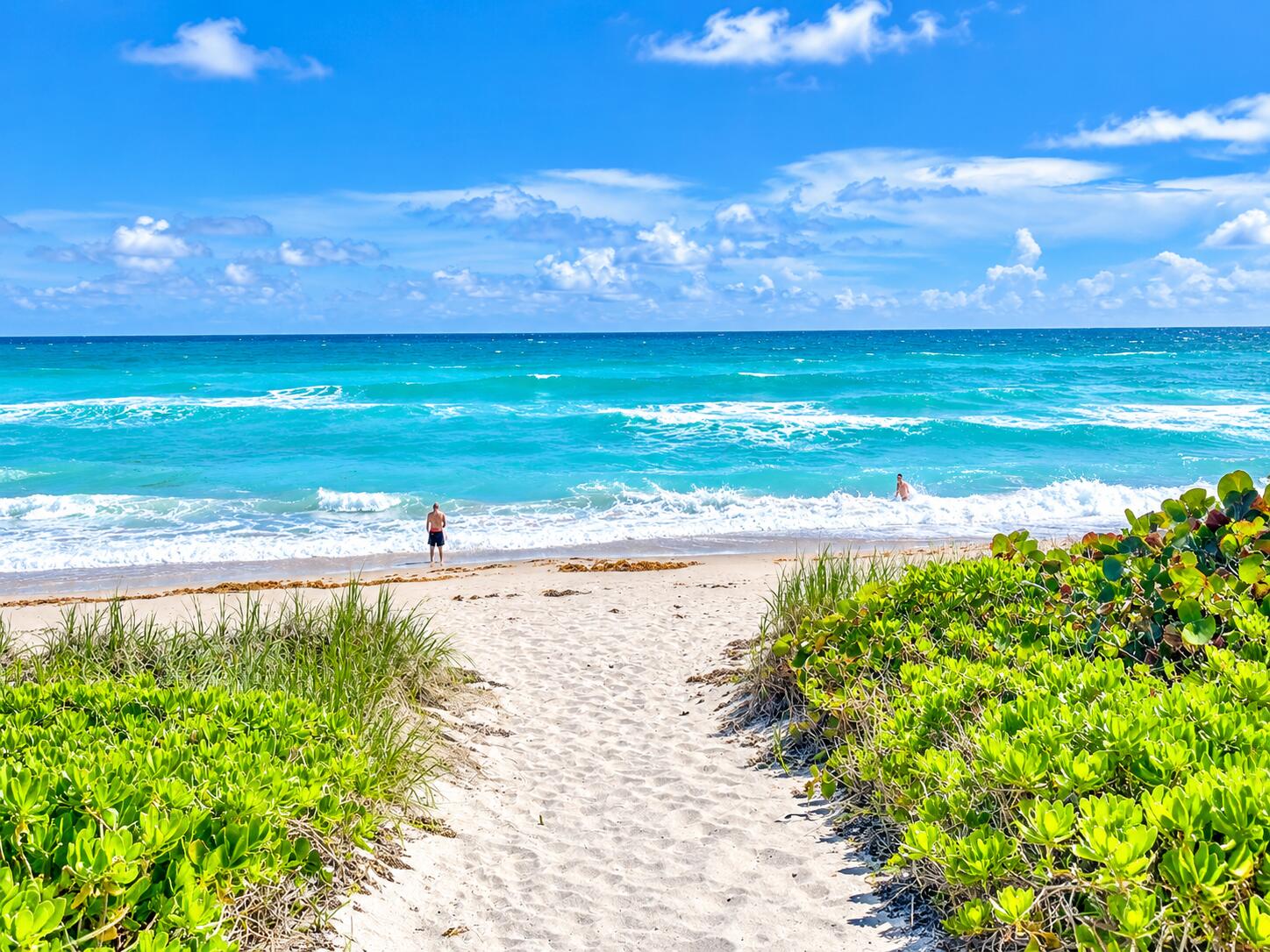 420 Celestial #403, Juno Beach FL 33408