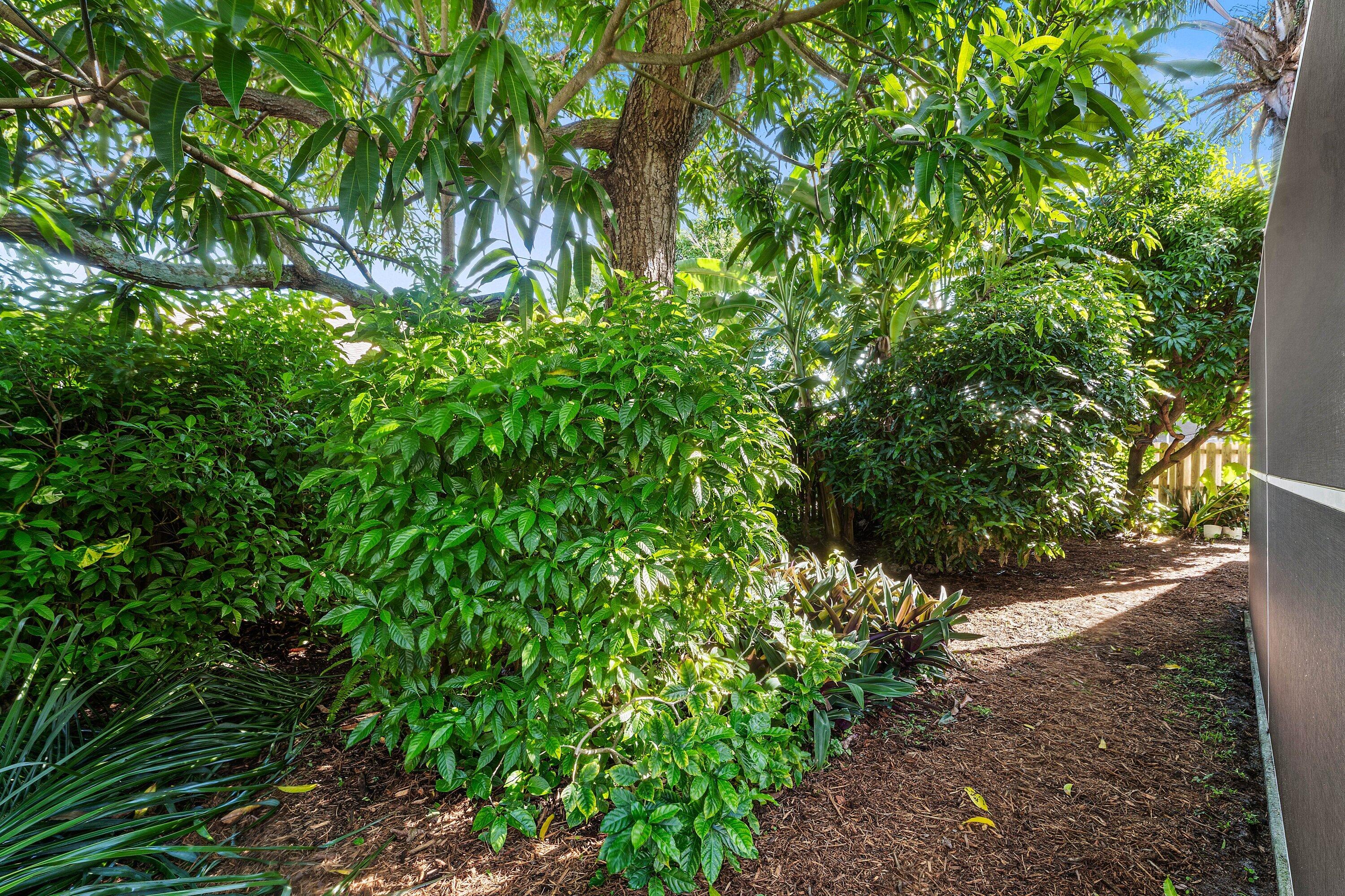 6333 UNGERER, Jupiter FL 33458