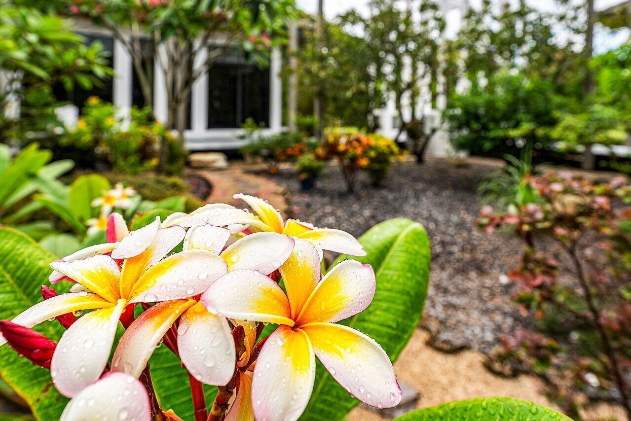 8549 SURREY, Boca Raton FL 33496