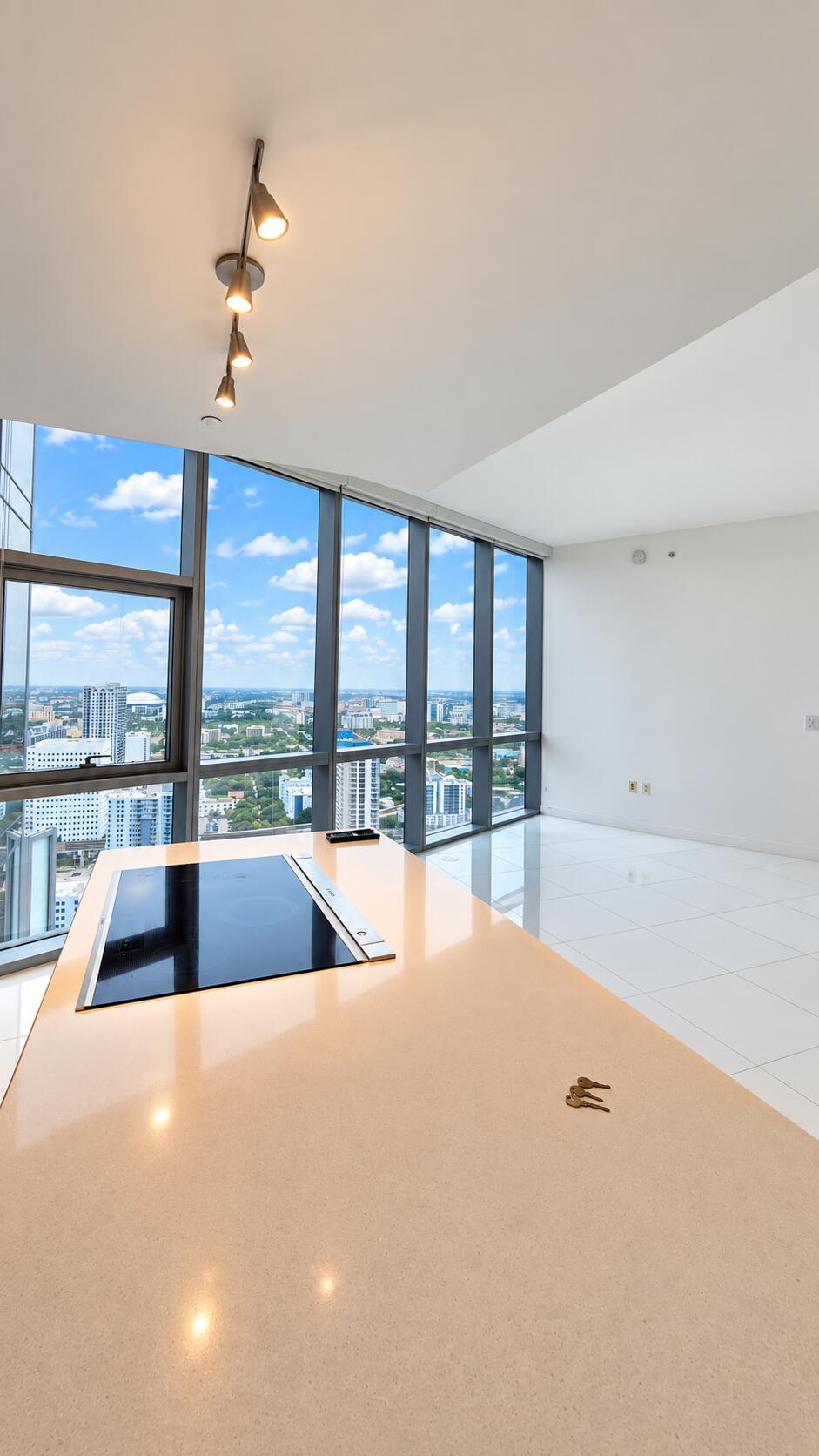 851 NE 1st #3502, Miami FL 33132