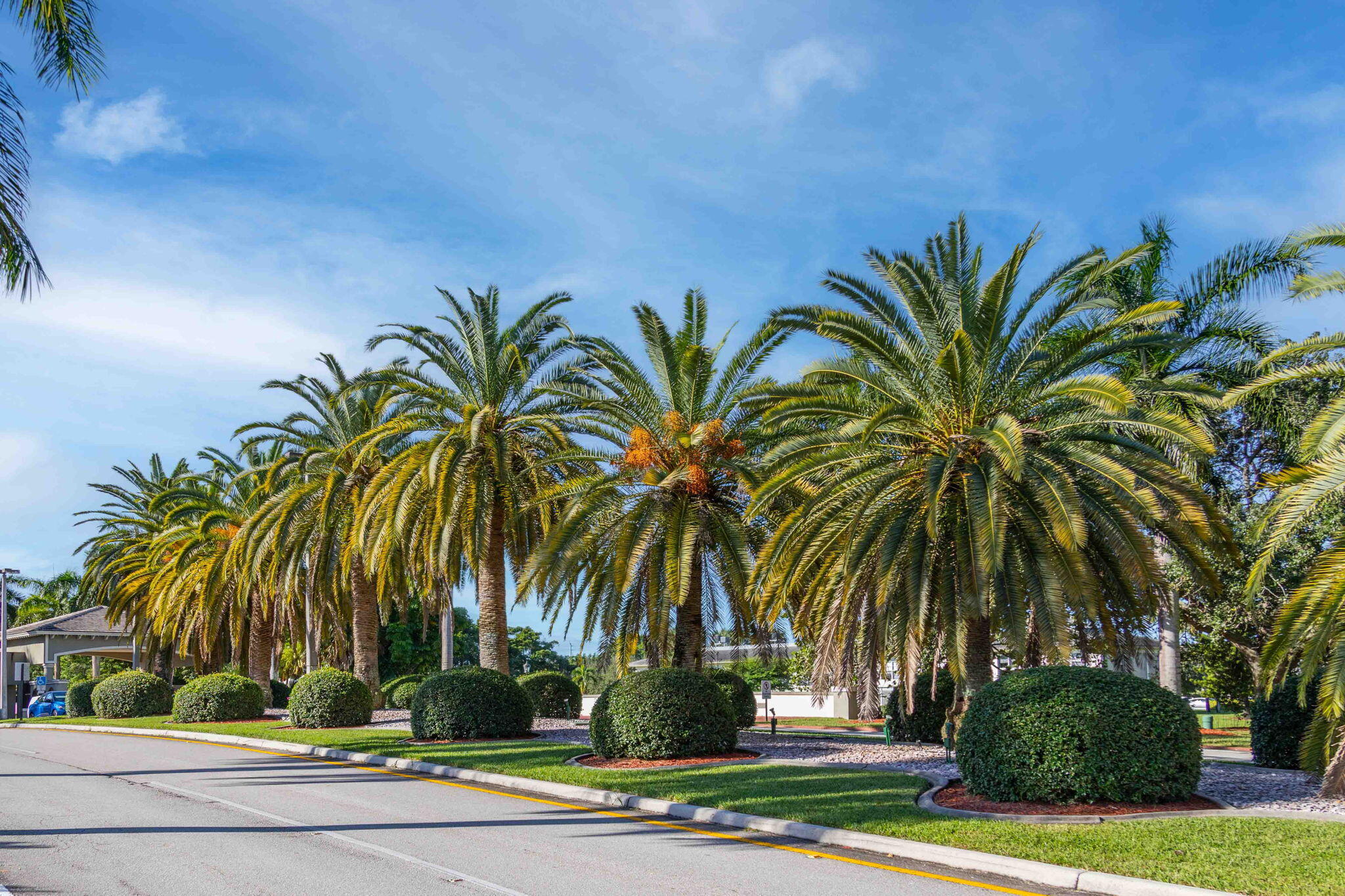 1604 ABACO #D1, Coconut Creek FL 33066