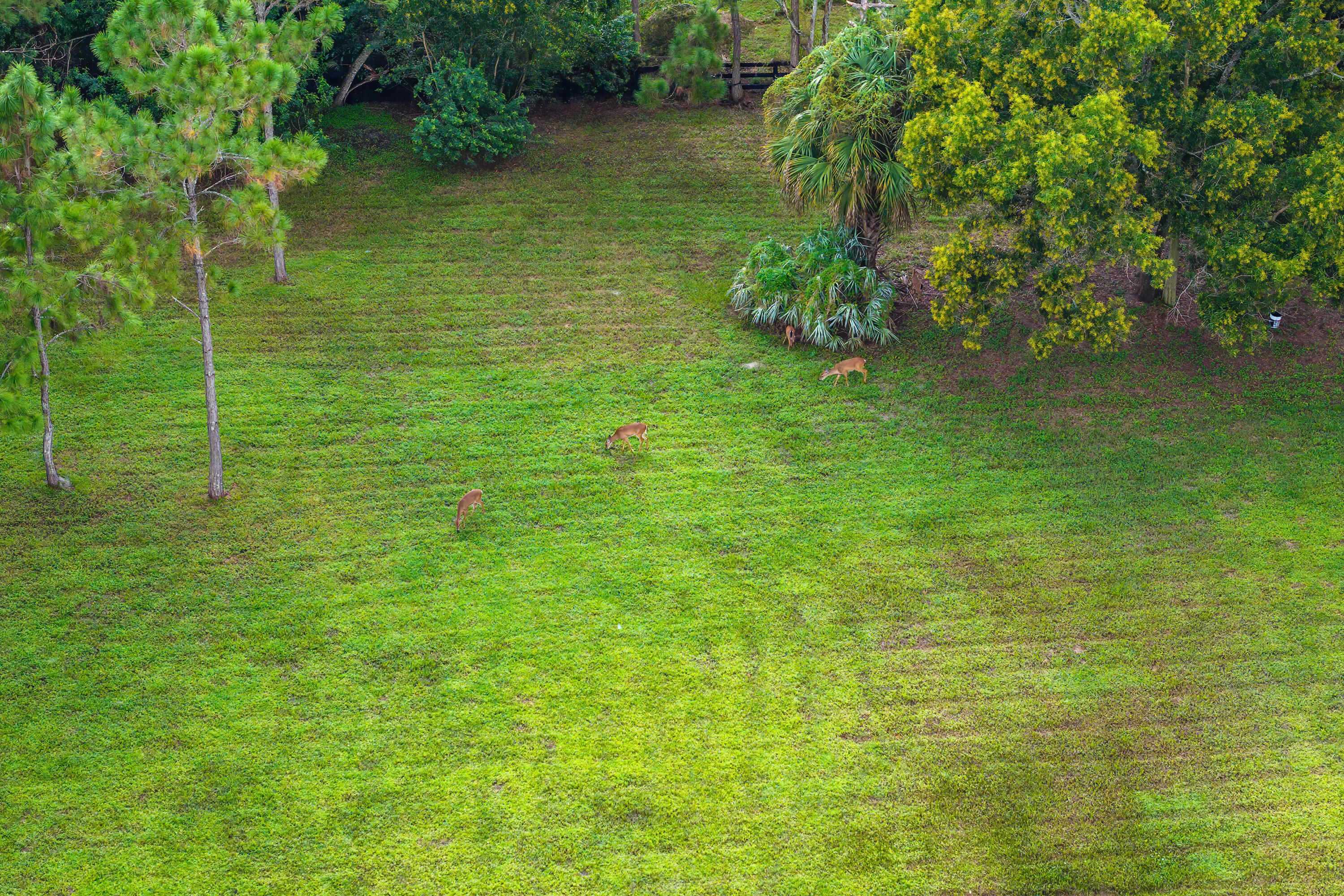 11356 Ira, Lake Worth FL 33449