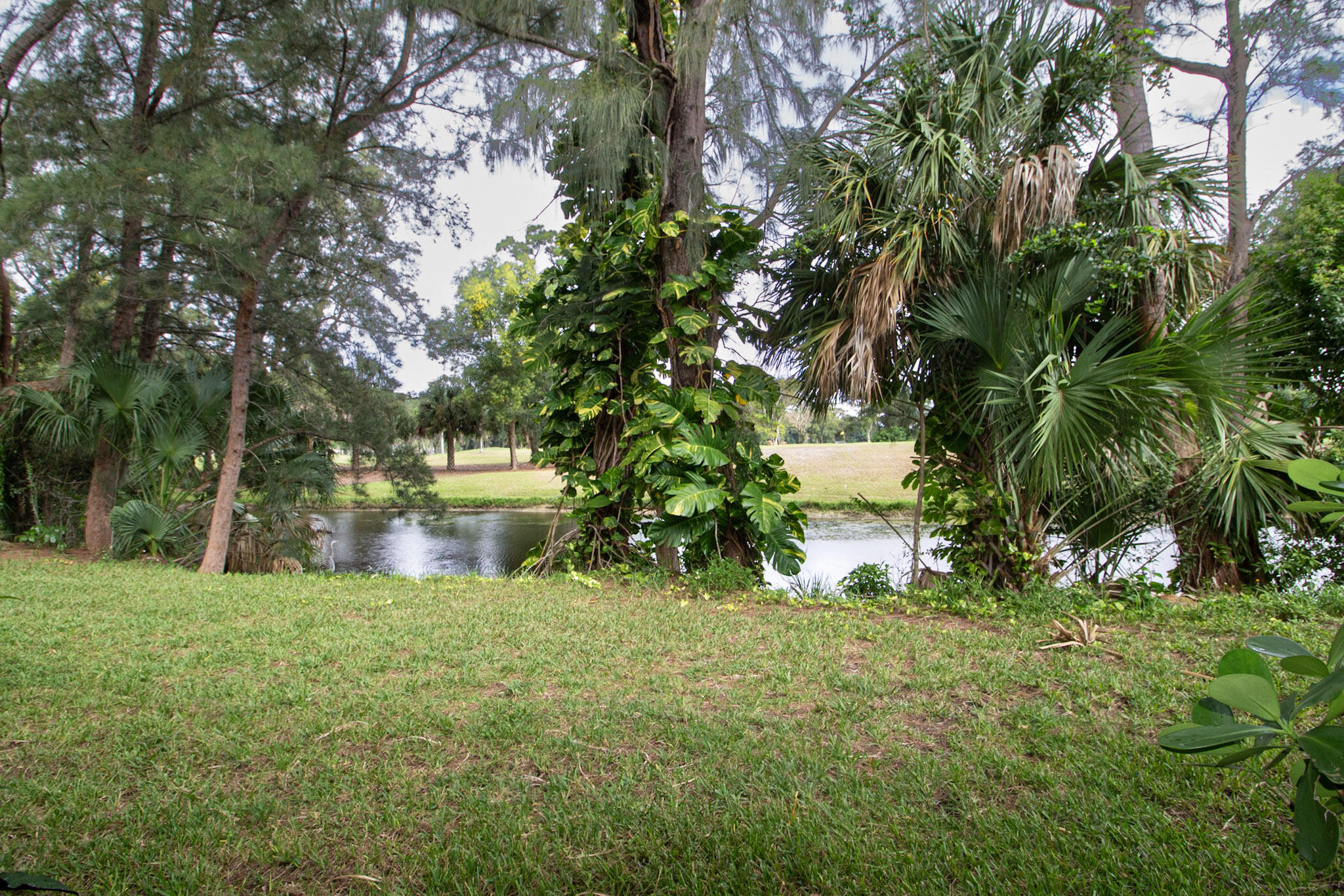 1303 Lakeview, Royal Palm Beach FL 33411