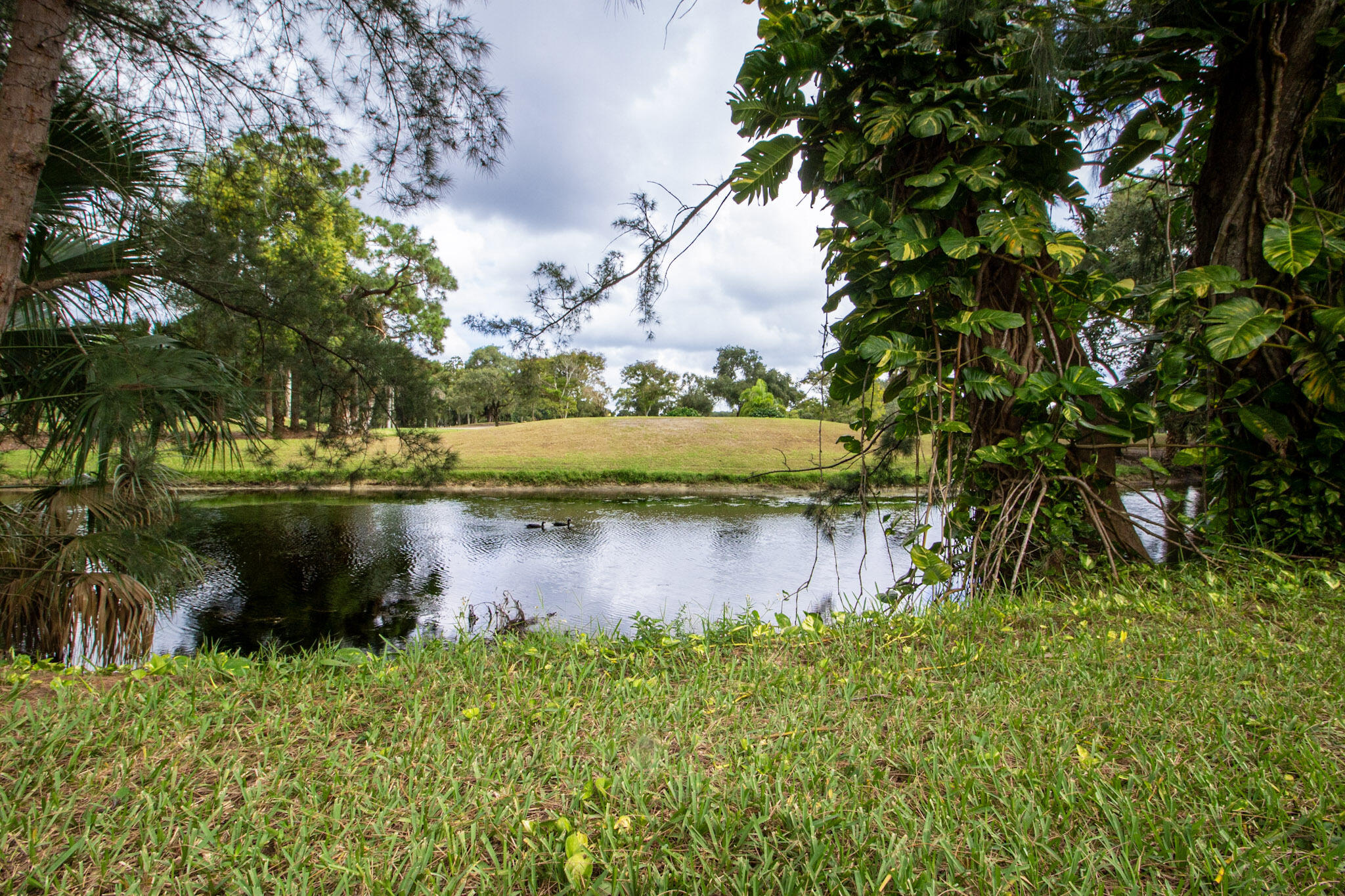 1303 Lakeview, Royal Palm Beach FL 33411