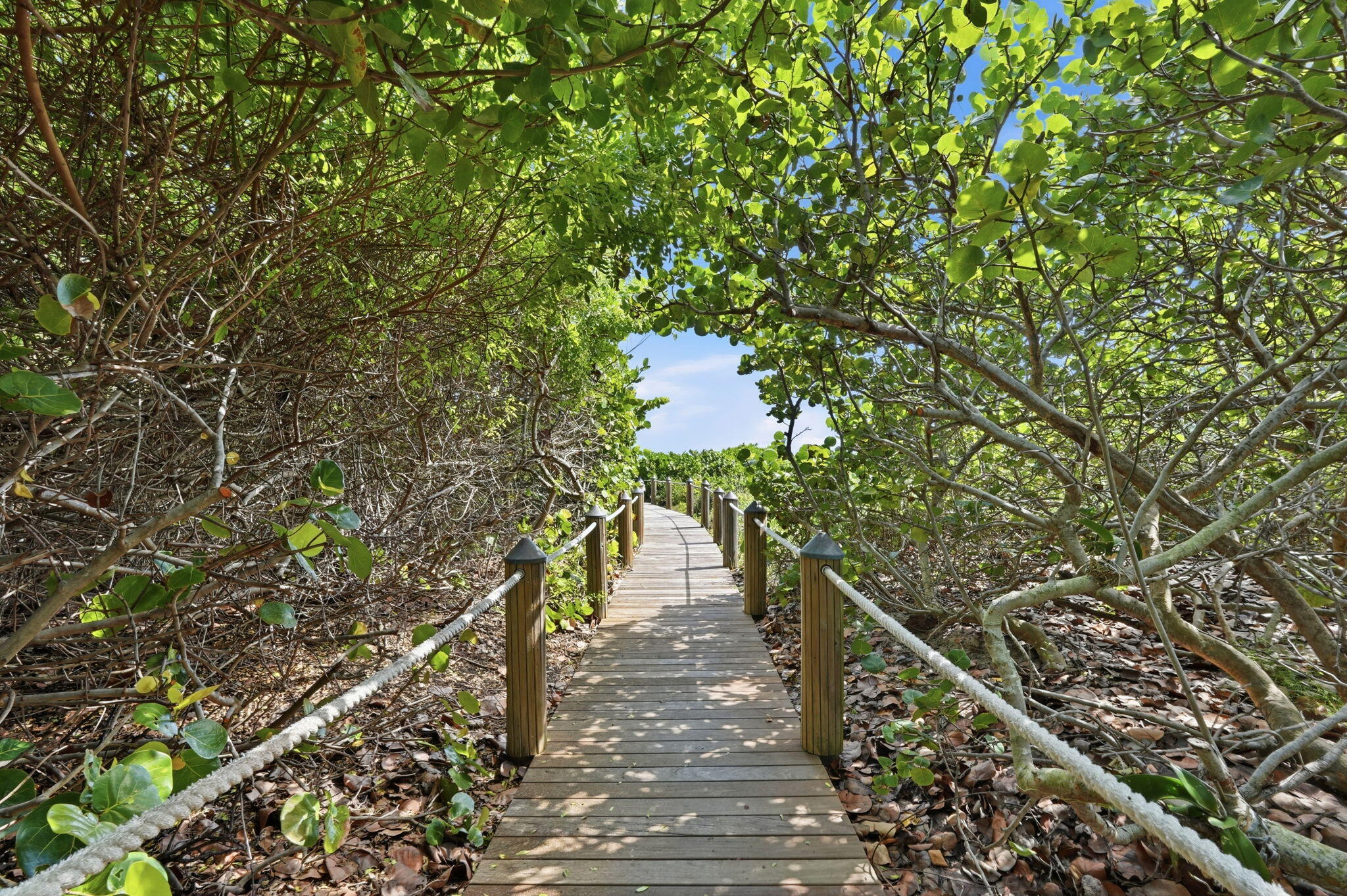 145 S OCEAN #611, Palm Beach Shores FL 33404